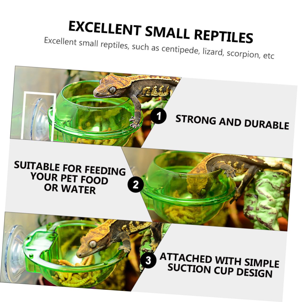 Ipetboom 8pezzi Ciotola per Rettili con Ventosa da Alimentatore Parete per Lucertole e Rettili Design Superficie Liscia e Resistente per Tartarughe e Piccoli Animali Domestici