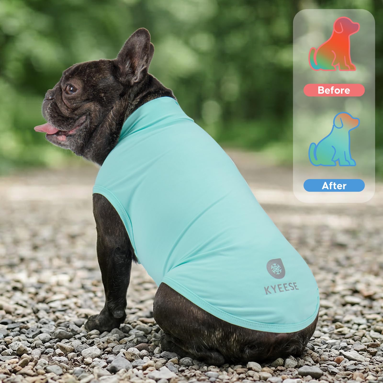 KYEESE 2Pack Dog Cooling Shirt, Breathable Dog Shirt for Small Dogs Boy, Sun Protection Reflective Pet Vest, Lightweight Soft Tank Top Sleeveless Summer Dogs Clothes, Blue, L - 3