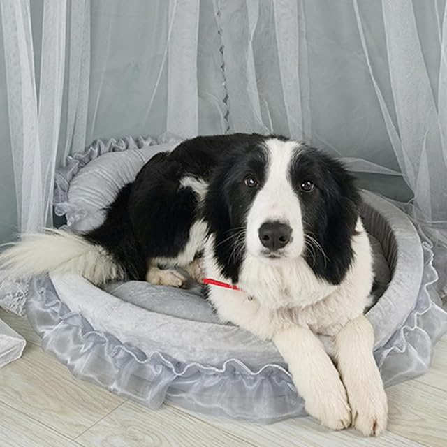 Foto 5 de 8 de jojobasec Cama de princesa con volantes para mascotas, gatito, cachorro, boda, mascota