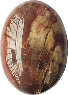 Natural Irregular Petrified Wood Healing Crystal,Polished Massage Palm Stones Worry Pocket Stone