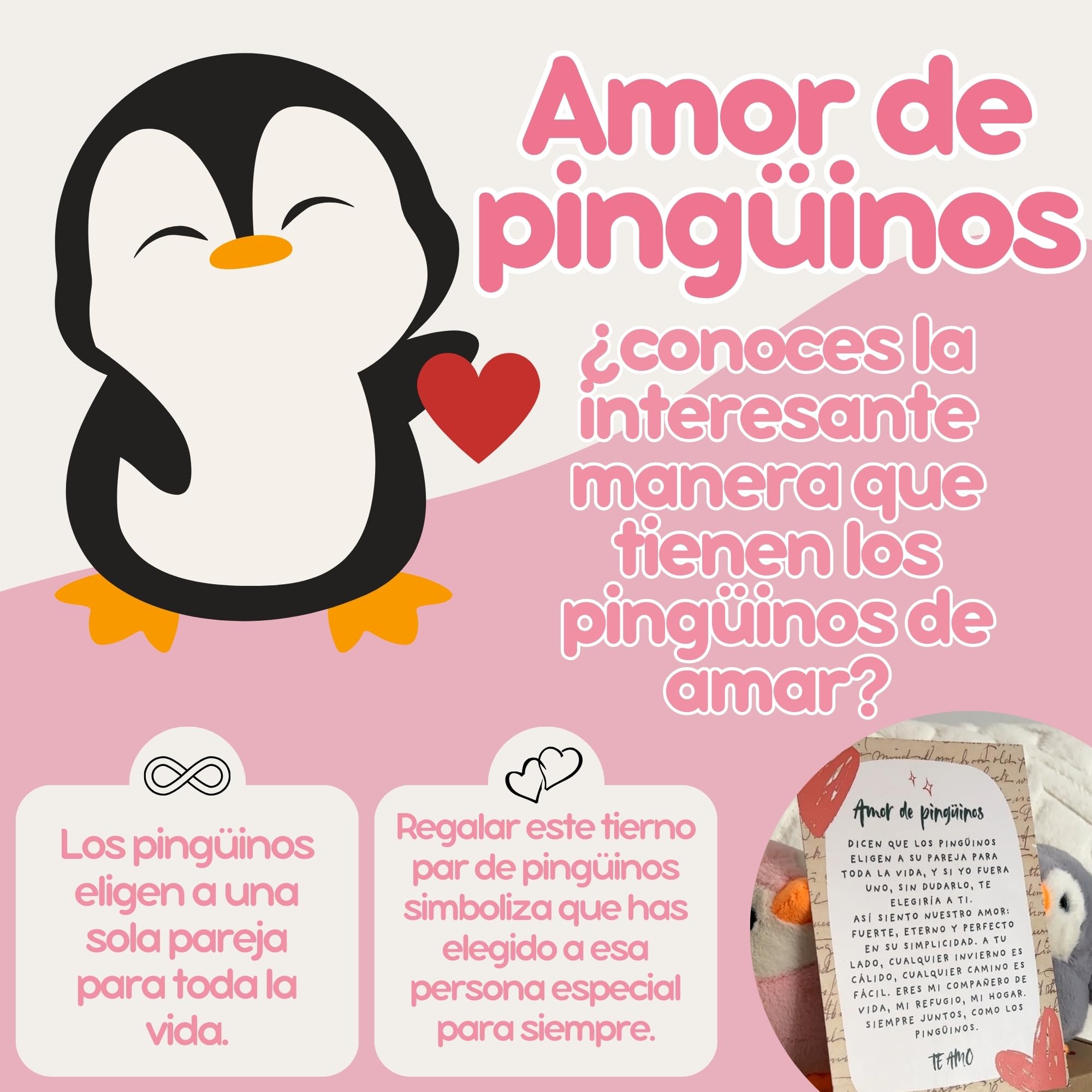Regalo Pareja | Peluches Pingüino con Carta de Amor y Caja Decorada | Regalos Originales para Aniversario Pareja | Regalos Personalizados para Enamorados o San Valentín
