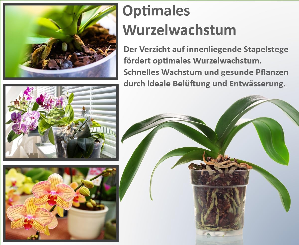 meindekoartikel 12 Orchideentpfe Pflanztpfe zum Zchten und Pflegen von  Orchideen aus Kunststoff - transparent ( 14,5cm x Hhe 12cm): Amazon.de:  Garten