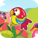 Bright Birds Matching