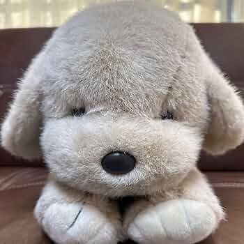 719XfOdG95L._AC_UF350,