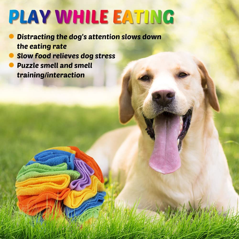 DONGKER Sniffing Ball per Cani,6/8" Giocattolo Palla da Snuffle per Cane Lavabile Giocattoli Puzzle per Animali Addestramento e Giochi Interattivi (7.9, arcobaleno)
