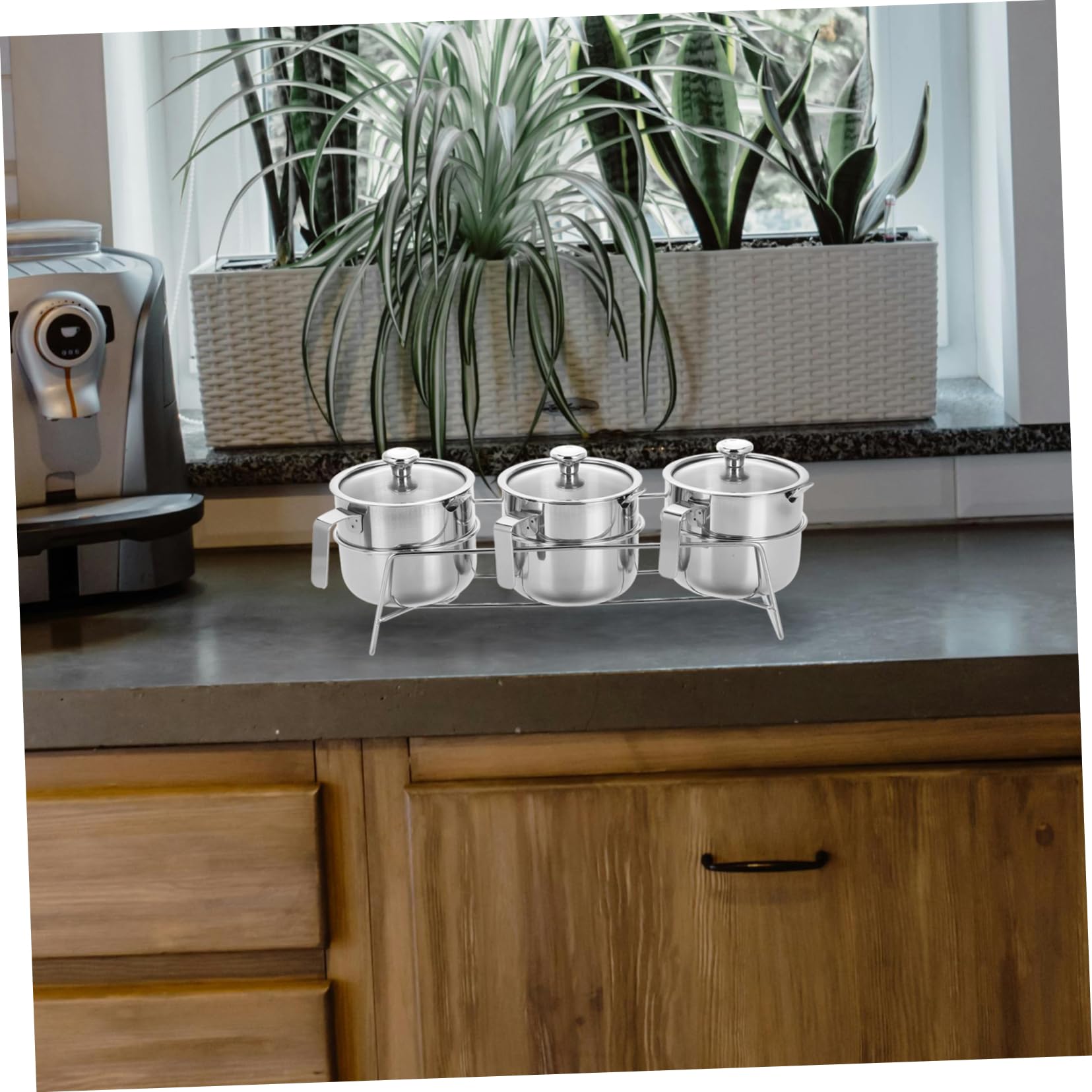 Luxshiny 1 Juego Frascos de Especias Inoxidable con Tapa de Vidrio Transparente Organizadores de Condimentos para Cocina para Sal y Especias