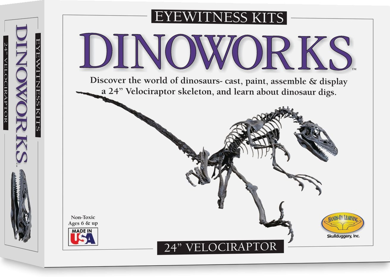 Amazon.com: Eyewitness Kits Dinoworks Velociraptor Skeleton