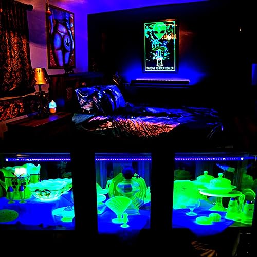 Miniatura 7 de BOSITE Barra de luz negra, 10 W, 1 pie, luz negra, tira de luz negra UV que brilla en la oscuridad, para fiesta, para dormitorio, interior, póster