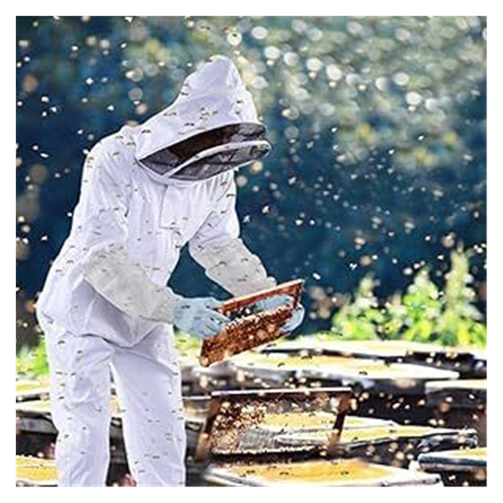 1set Professional Ventilated Full Body Beekeeping Bee Keeping Suit with Gloves L XL XXL Optional(XL)