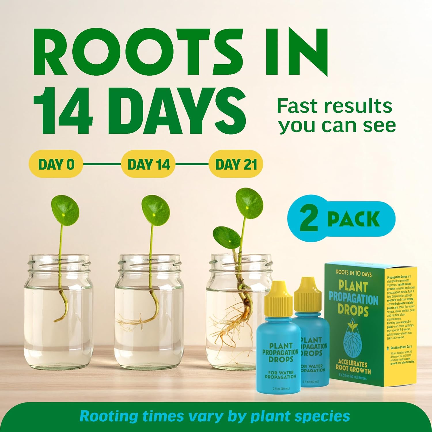 [2 Pack] Rooting Drops for Plant Propagation | Promotes Faster, Stronger Root Growth, Propagation Drops for Water, Moss, & More! Supports Plant Health During Repotting, for All Your Props & Cuttings - Image 2
