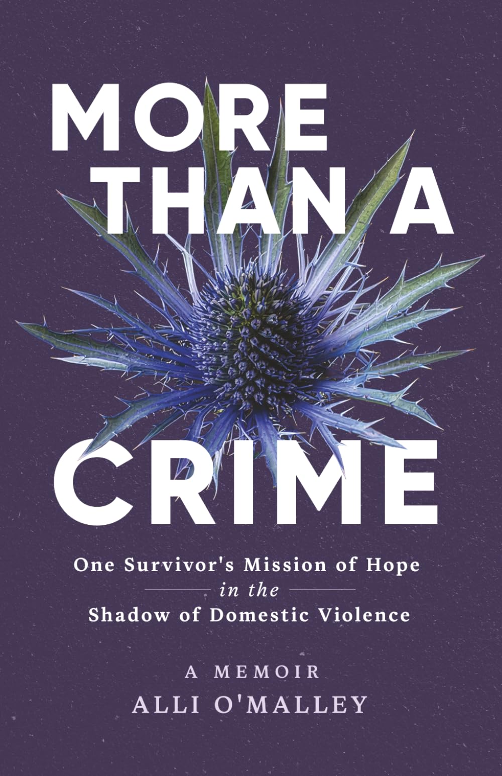 More than a Crime: One Survivor’s Mission of Hope in the Shadow of Domestic Violence