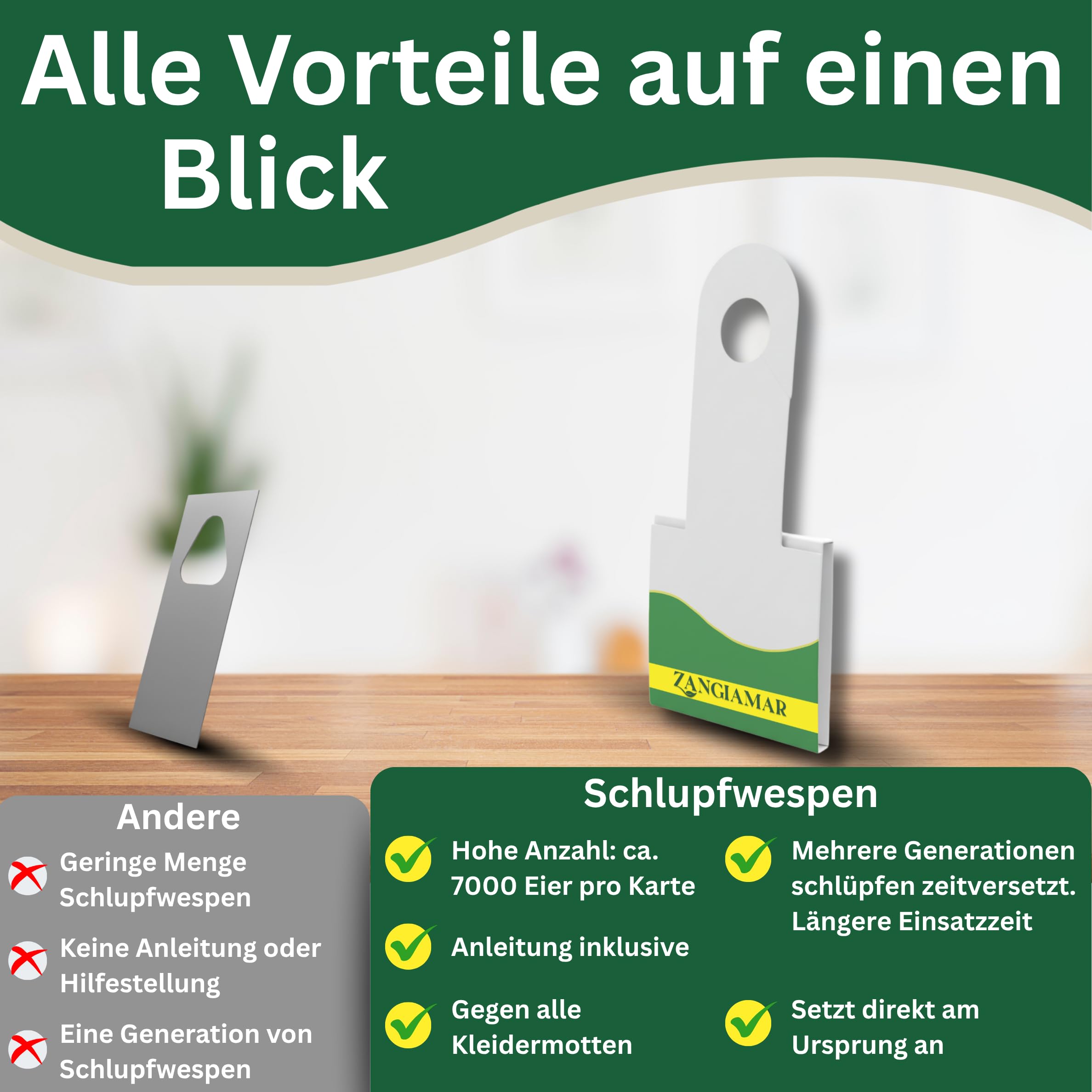 Schlupfwespen gegen Kleidermotten - XXL Menge, je 7000 Eier, 12 Karten | Schütze, was dir wichtig ist - frei von Motten und Sorgen. | Nur für kurze Zeit: 10 % Rabatt-Coupon