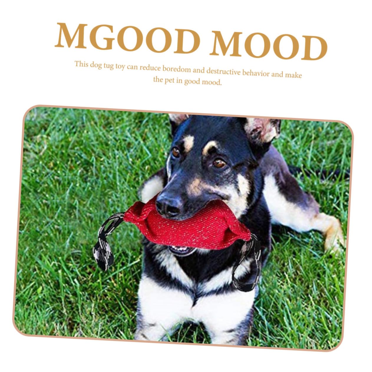 Toddmomy 2piezas Cojín De Morder para Perros Juguete De Entrenamiento Agil para Perros Resistente y Duradero para Ejercicio y Reducción De Ansiedad