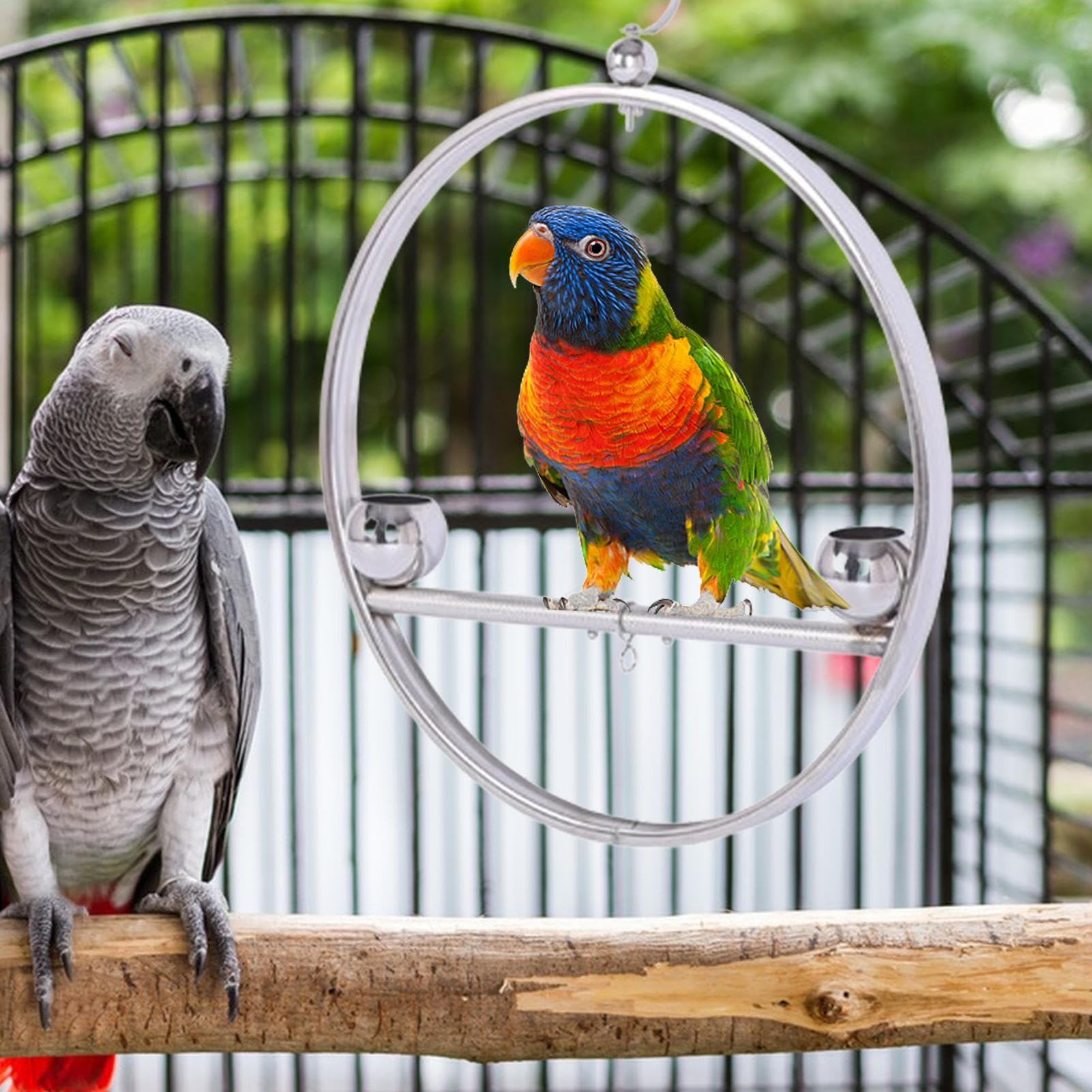 Perchas para Aves de Interior Estante Decorativo Colgante De Acero | Percha Circular De Entrenamiento Con Gancho Y Comederos Para Jaulas de Mascotas Interior Exterior Ventana Balcón Jar