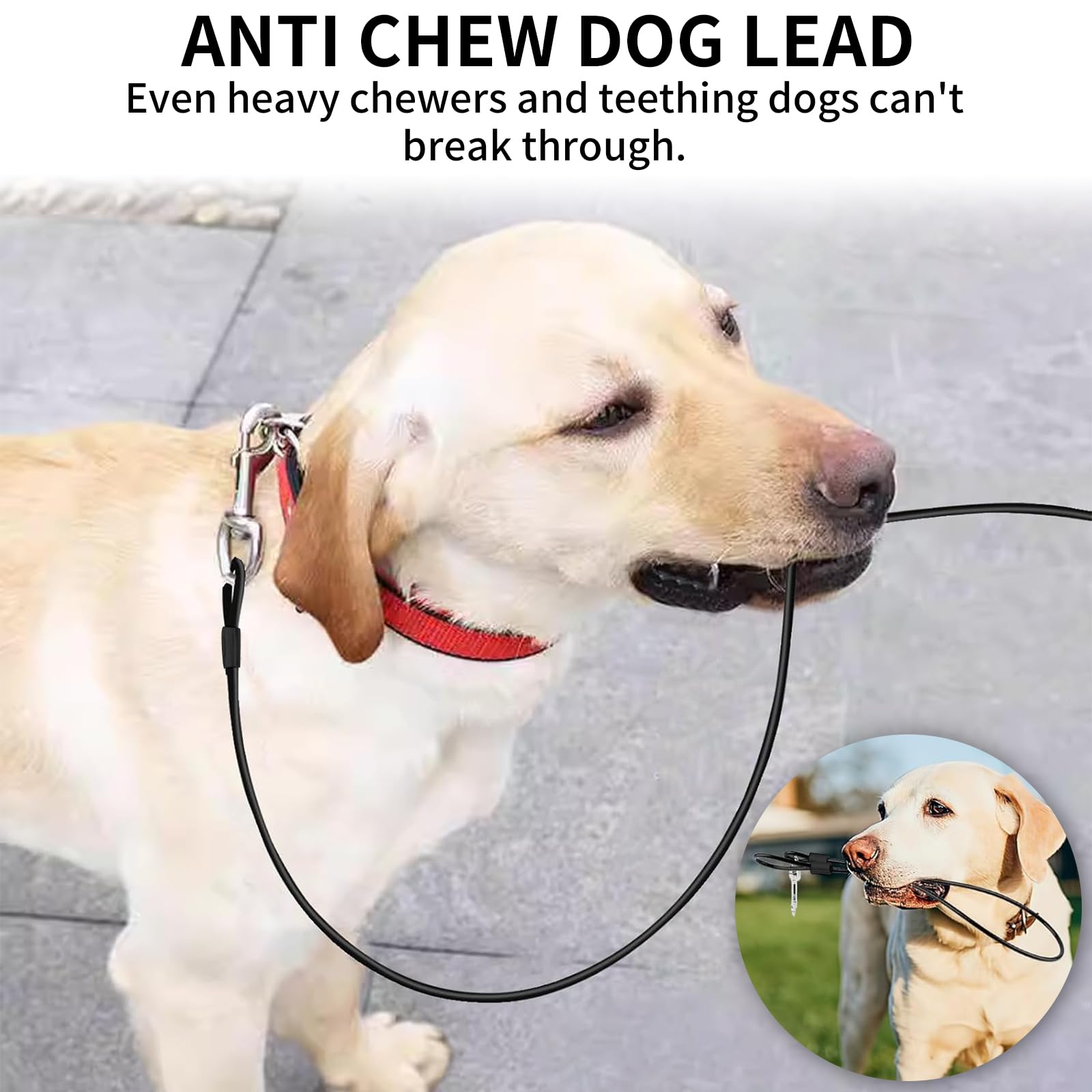 Chew Proof Dog Lead Leash,Steel Wire Heavy Duty 48 cm/19 inch Metal Cable Leashes Extension Rope,Chain Lead,for Small Medium Large Pet Dog - Image 4