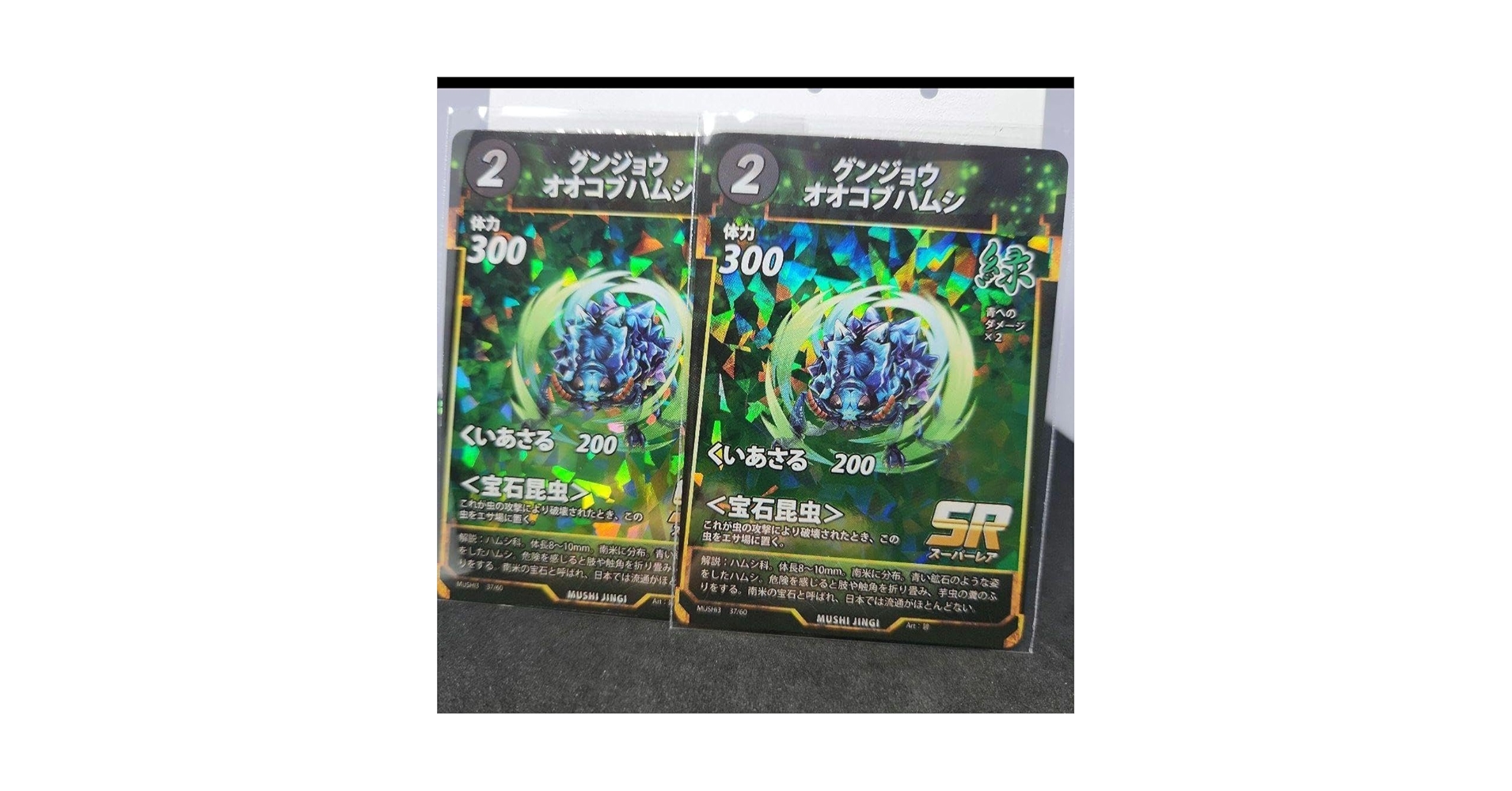Amazon.co.jp: 蟲神器 虫神器 グンジョウオオコブハムシ 2枚組