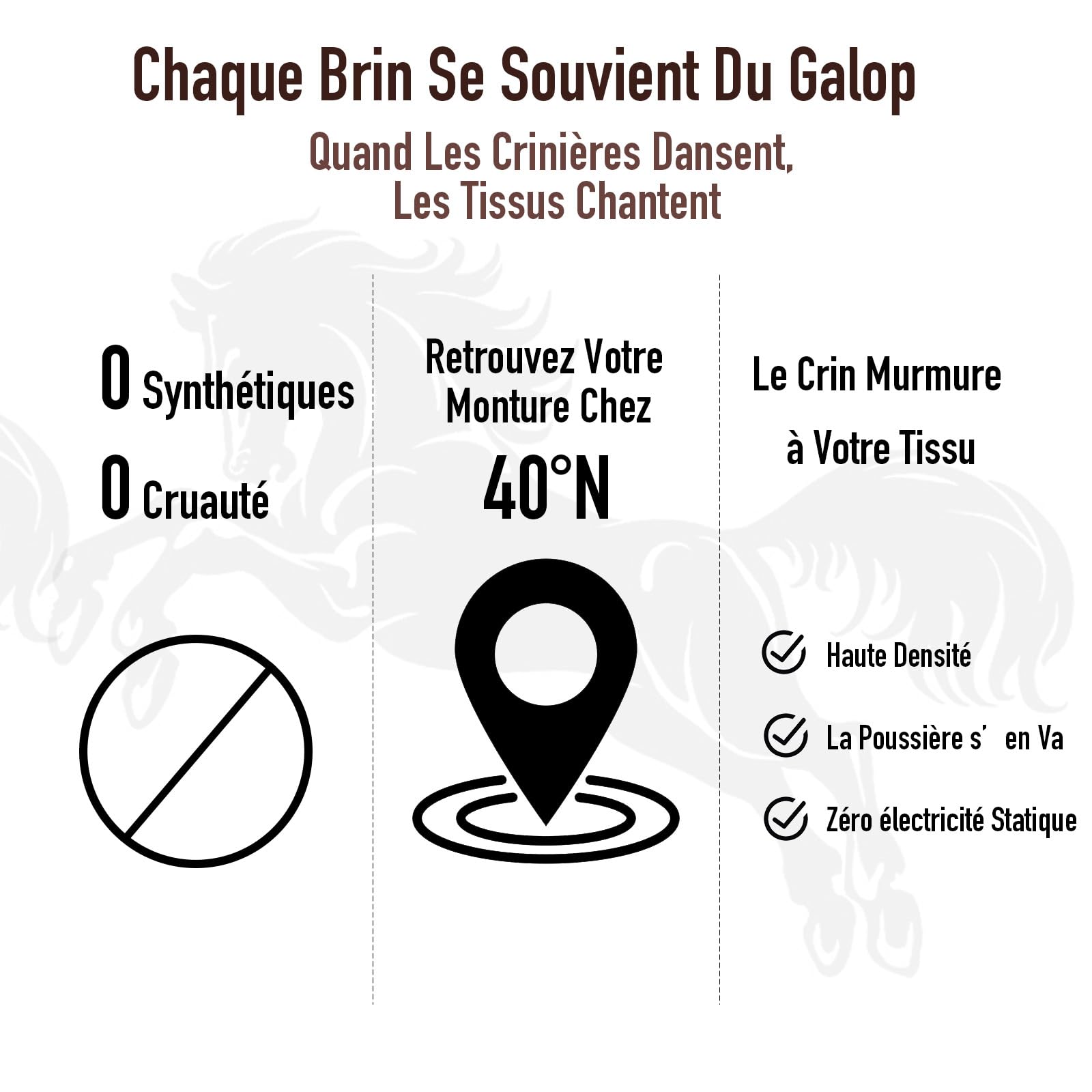 Brosse 100% Poils de Cheval Brosse à Chaussures/Cuir Professionnelle Haut de Gamme avec Manche en Bois Courbé pour Une Meilleure Prise.Parfaite pour Chaussures,ManteauxSacs à Main et Cirage Cuir