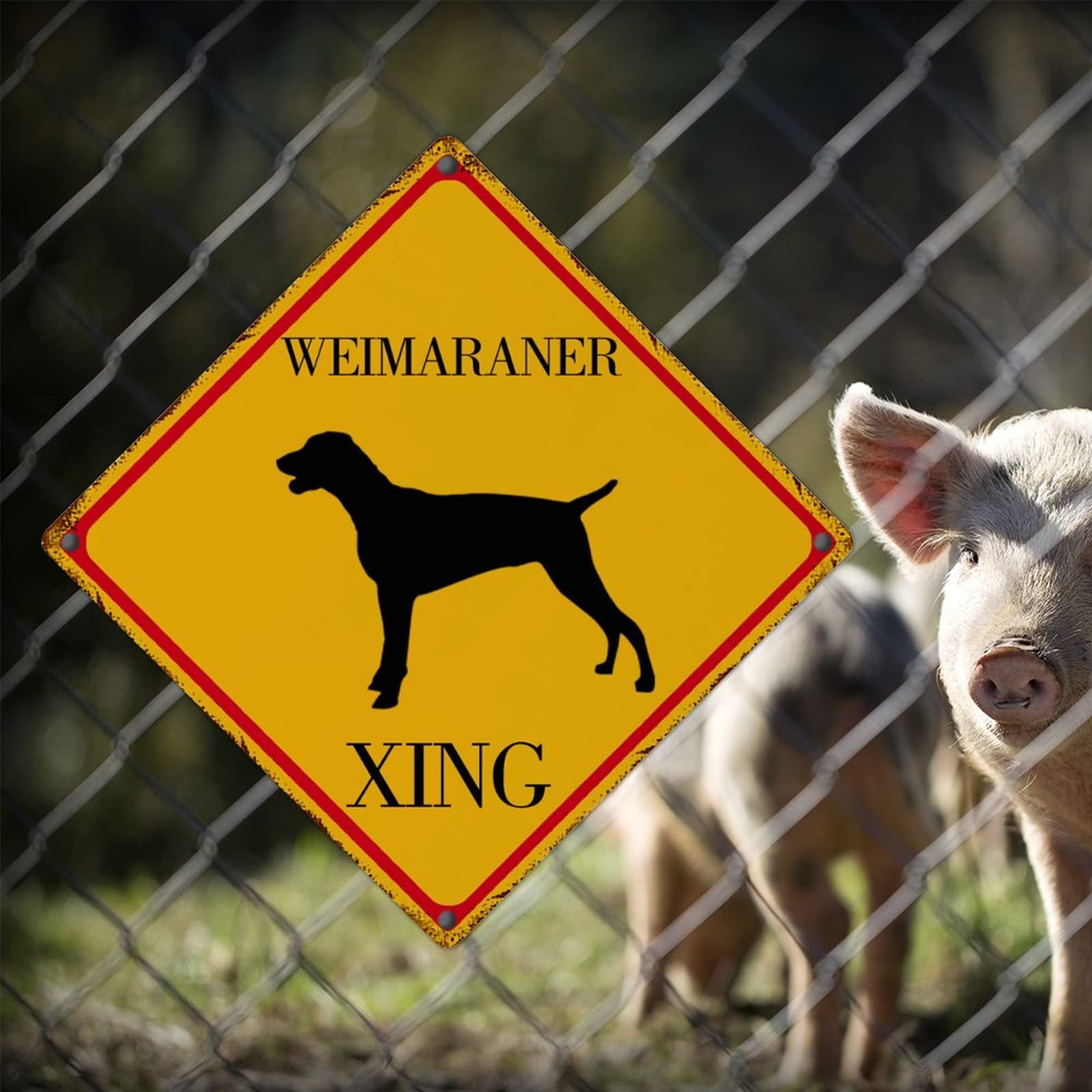 Weimaraner Hond Metalen Teken Hond Moeder Welkom