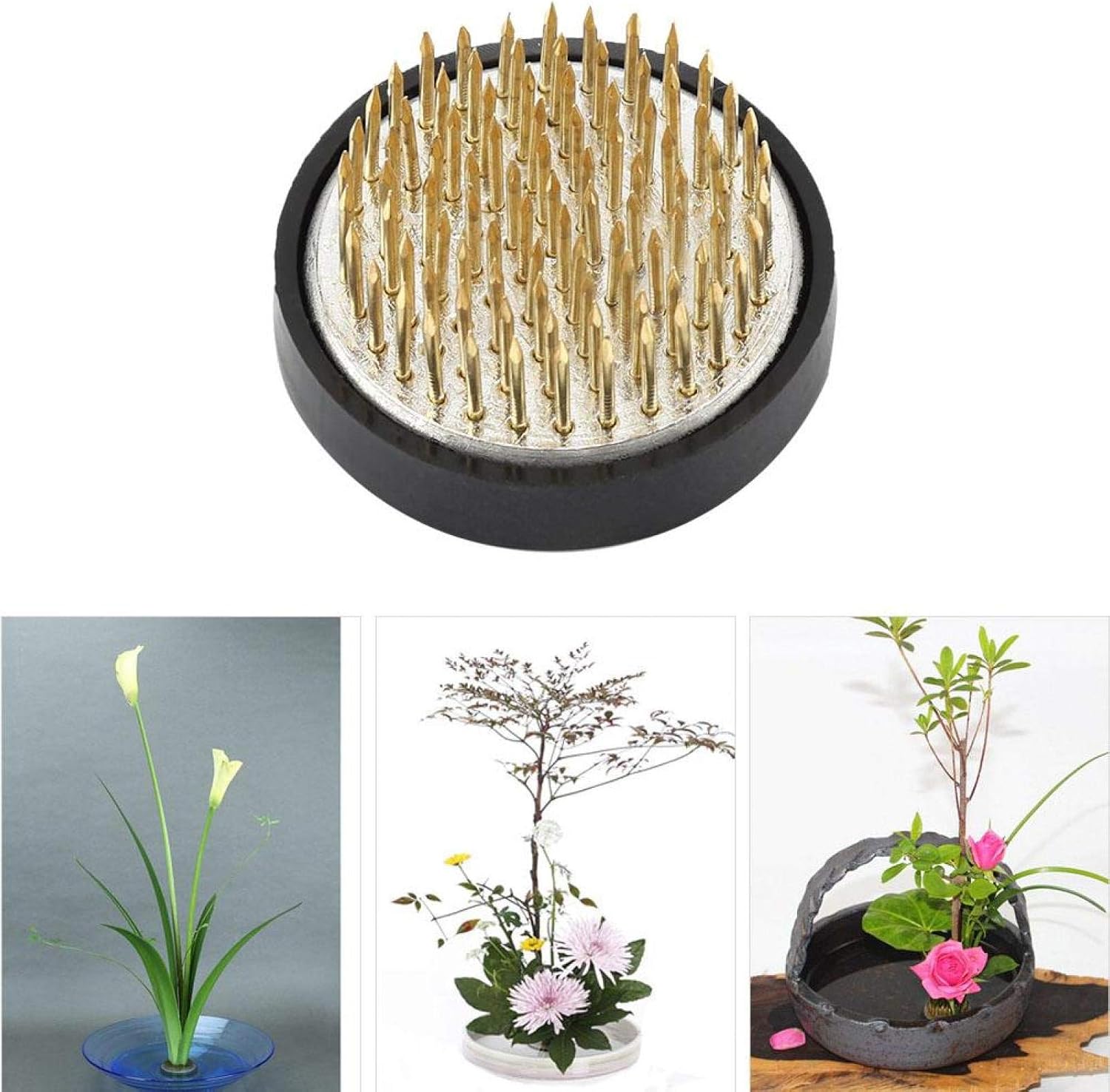Tyenaza Kenzan Flower Arrangement, Round Pin Flower Arrangement Needle Kenzan Flower Holder for Flower Decoration (60mm)