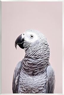 Stupell Industries African Grey Parrot Portrait Wall Plaque Art Design by Sisi and Seb