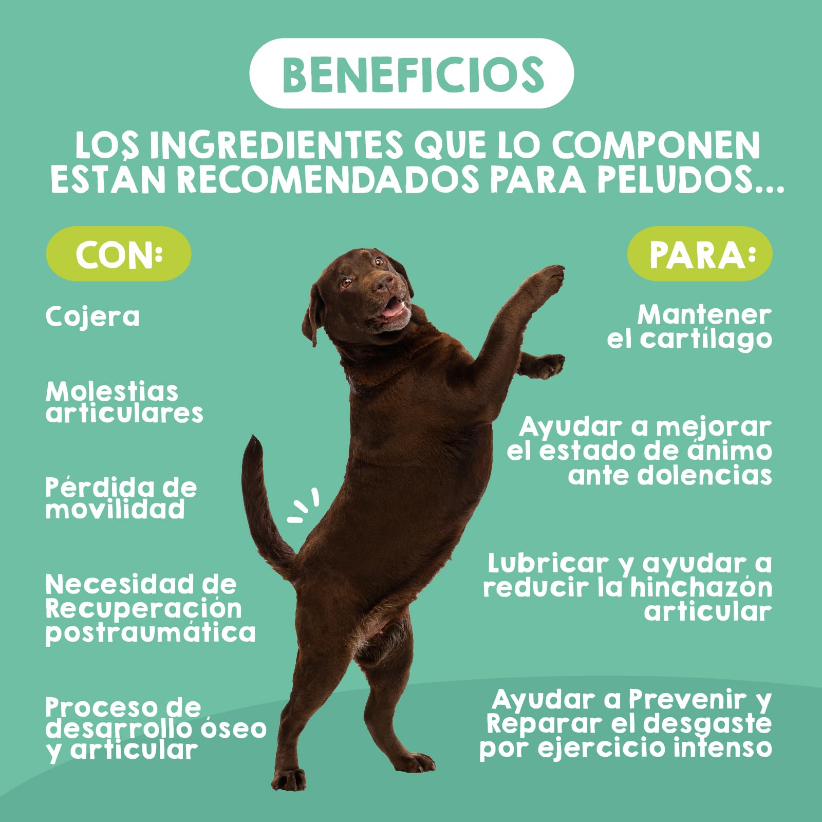 MAIKAI Condroprotector Perros Grandes y Gigantes – 120 Comprimidos – Glucosamina + Condroitina + MSM + Ácido Hialurónico – Articulaciones + Antiinflamatorio Natural