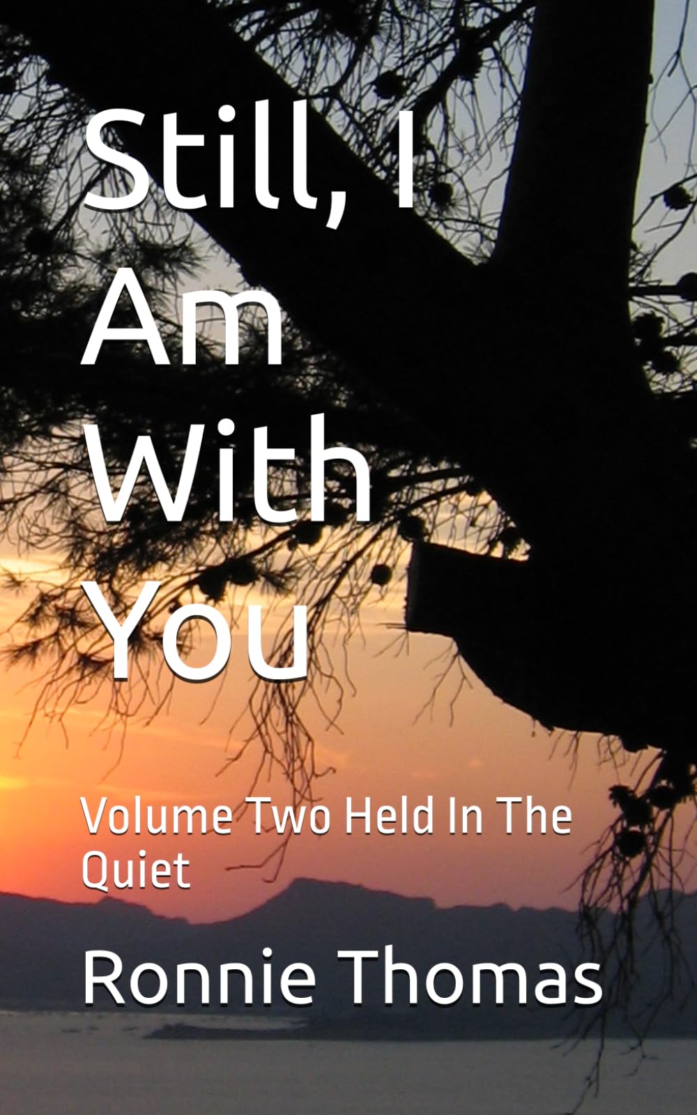 Still, I Am With You: Volume Two Held In The Quiet (The Quiet Faith Collection)