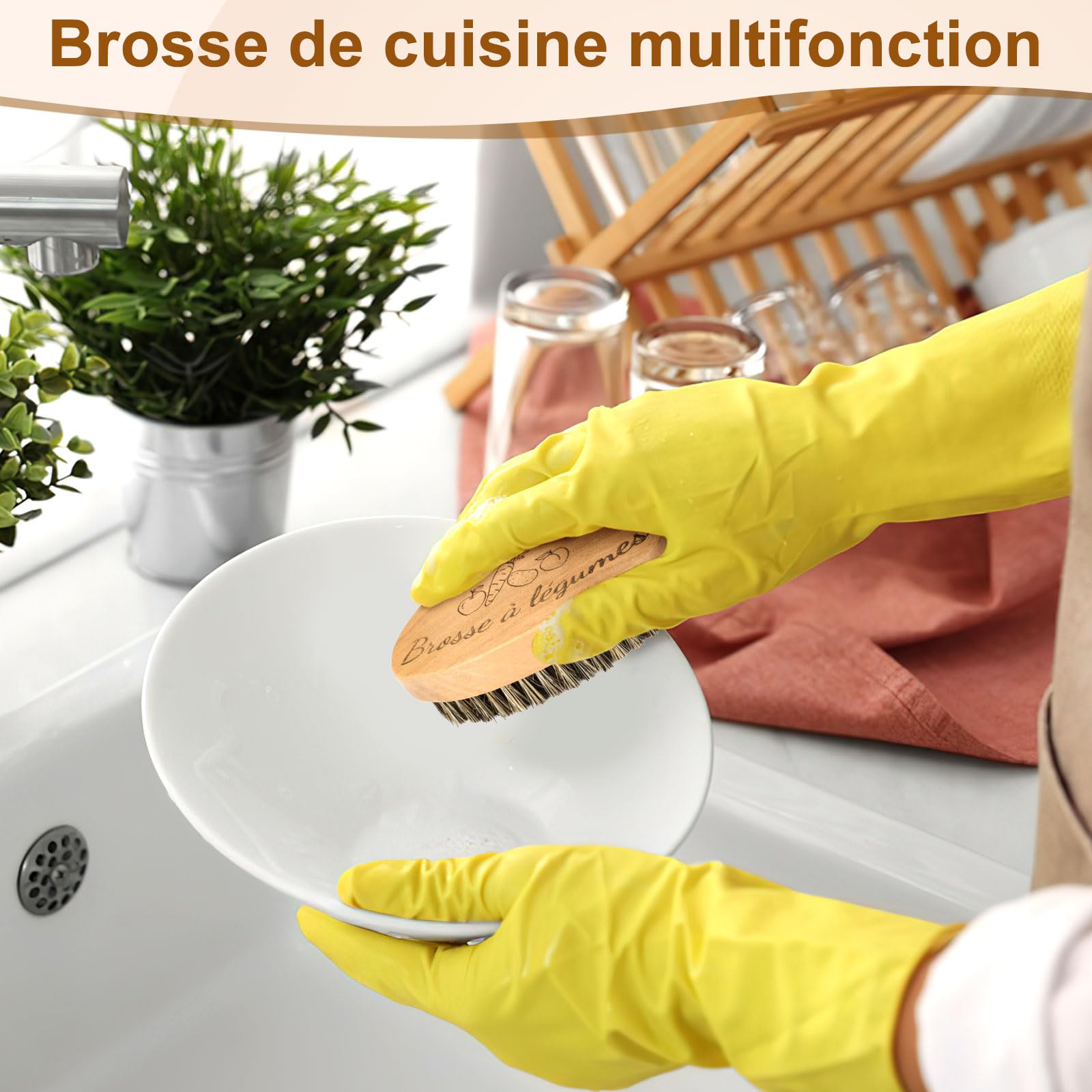 AUGSUN Brosse à Légumes, Brosses à Récurer pour Plats Fruits et Légumes, Brosse de Nettoyage pour Cuisine Jardin et Ménage