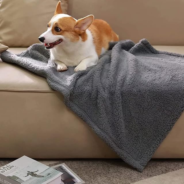 WEASHUME 100% Waterproof Dog Blanket Dog Couch Cover Pet Blanket Pee Proof Soft Dog Cat Bed Furniture Cover for Large Dogs and Cats Sofa Couch Bed Cover Dark Grey M 70 X 100cm