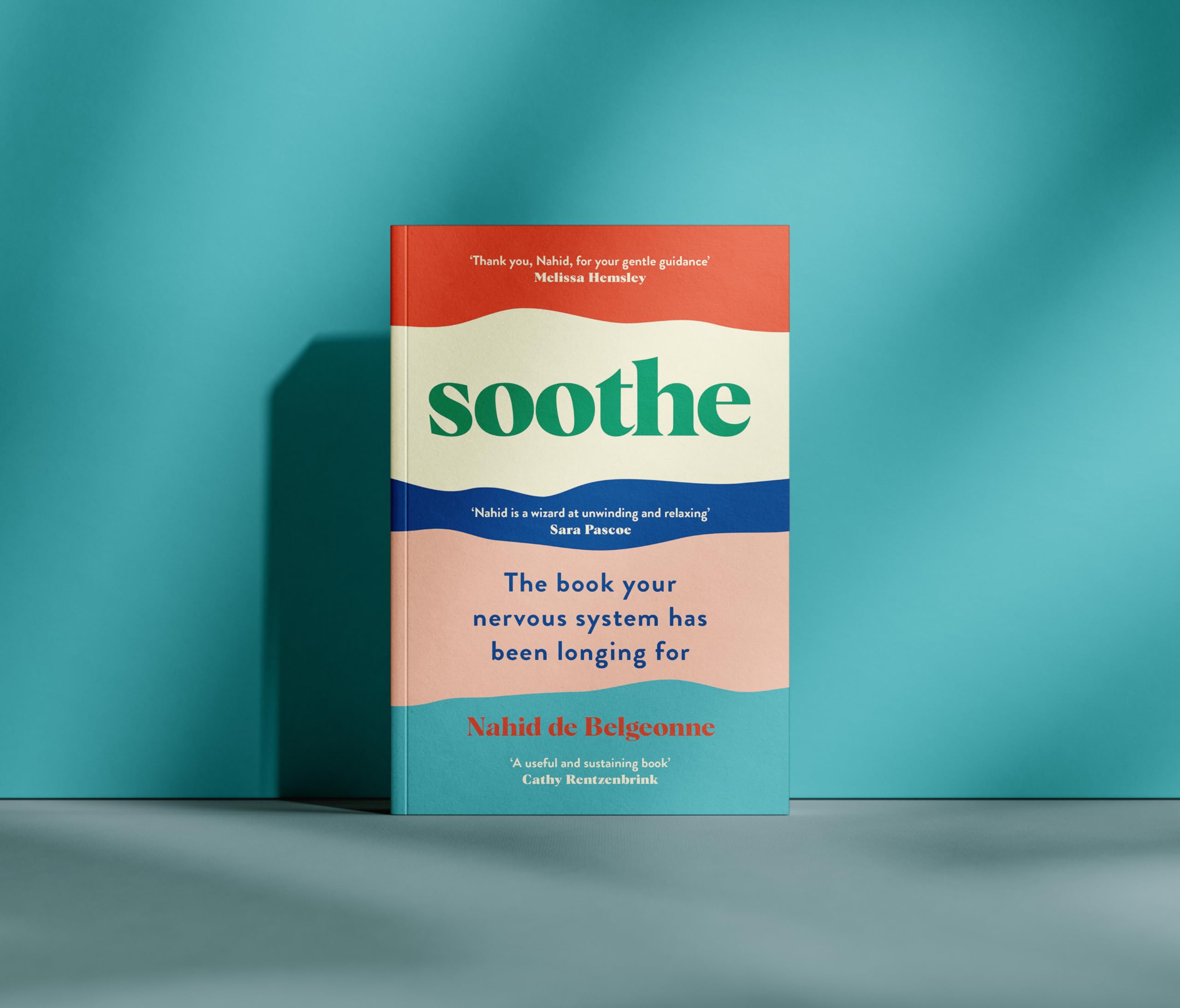 Soothe: The book your nervous system has been longing for
