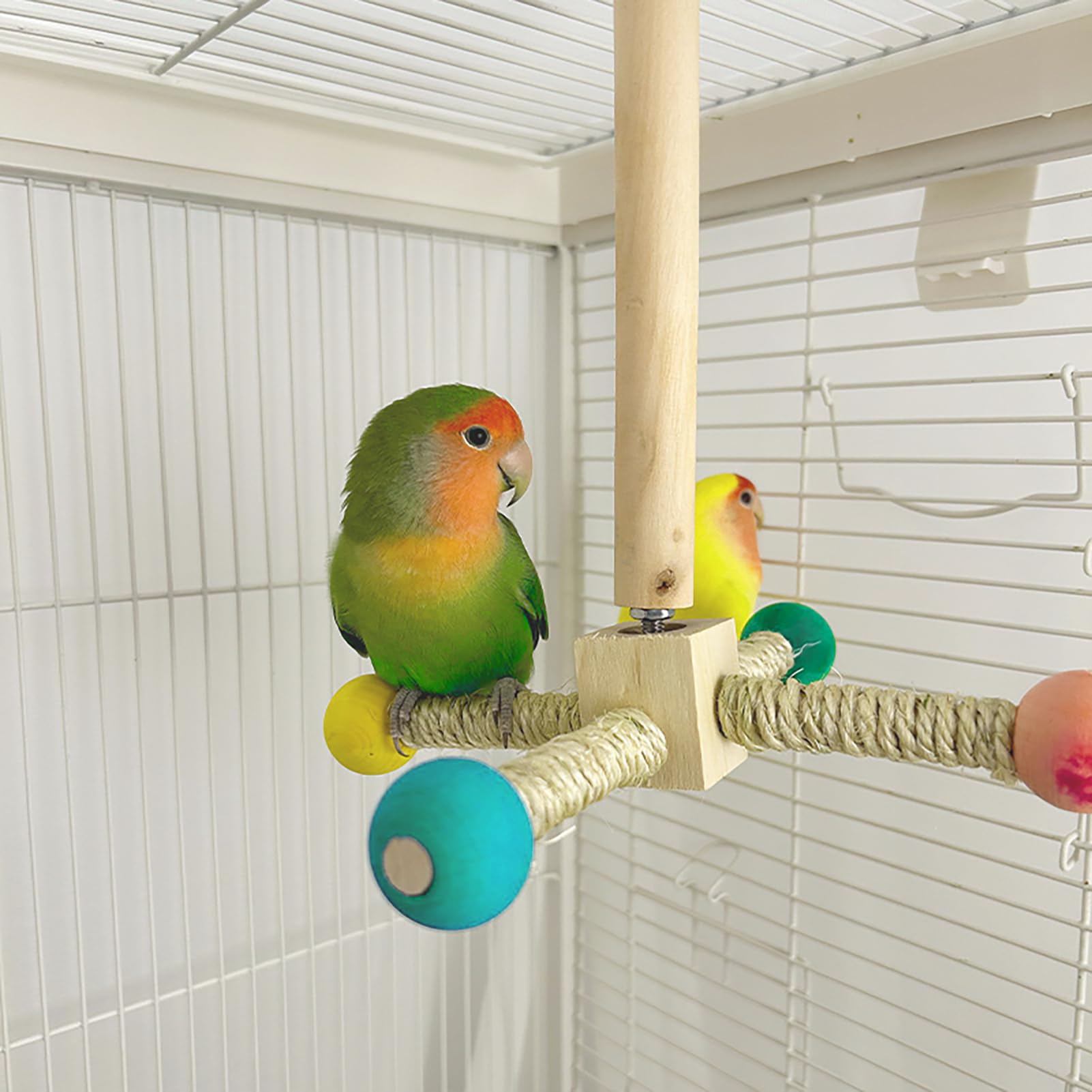 Giocattoli per Uccelli di Legno Parco Giochi per Pappagalli giostra Accessori Gabbie per Uccelli Posatoi Colorato (m)