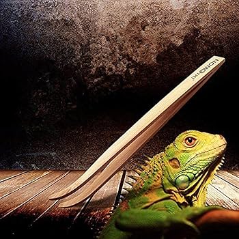 Amazon.co.jp: バンブーピンセット 竹 ピンセット 爬虫類 摂食