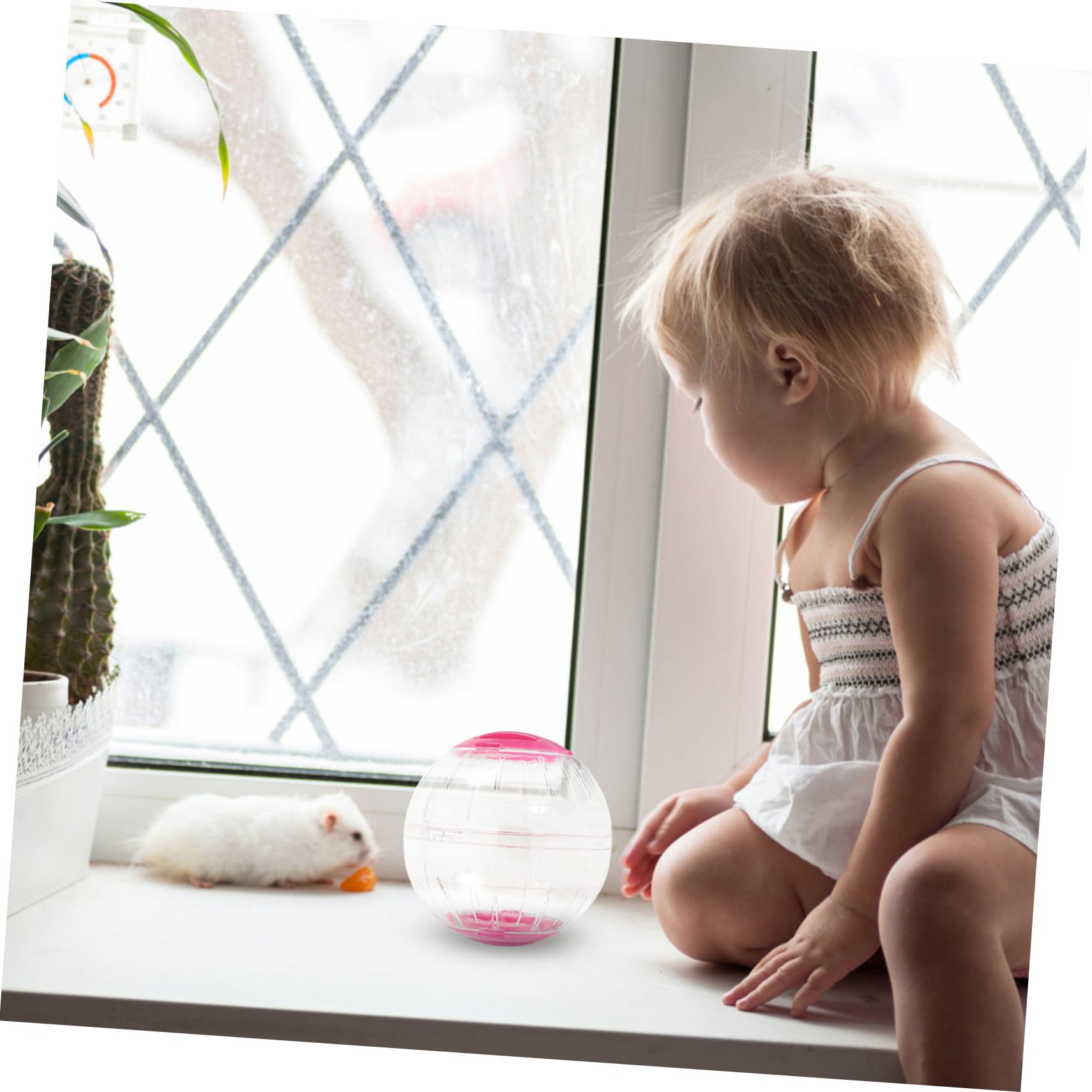 COLLBATH 4 Pièces Balle d'exercice Transparente pour Hamster et Petit Animal Roue silencieuse Anti-évasion Portable pour Souris Gerbille et Cochon Lot de Couleurs Bleu et Rose