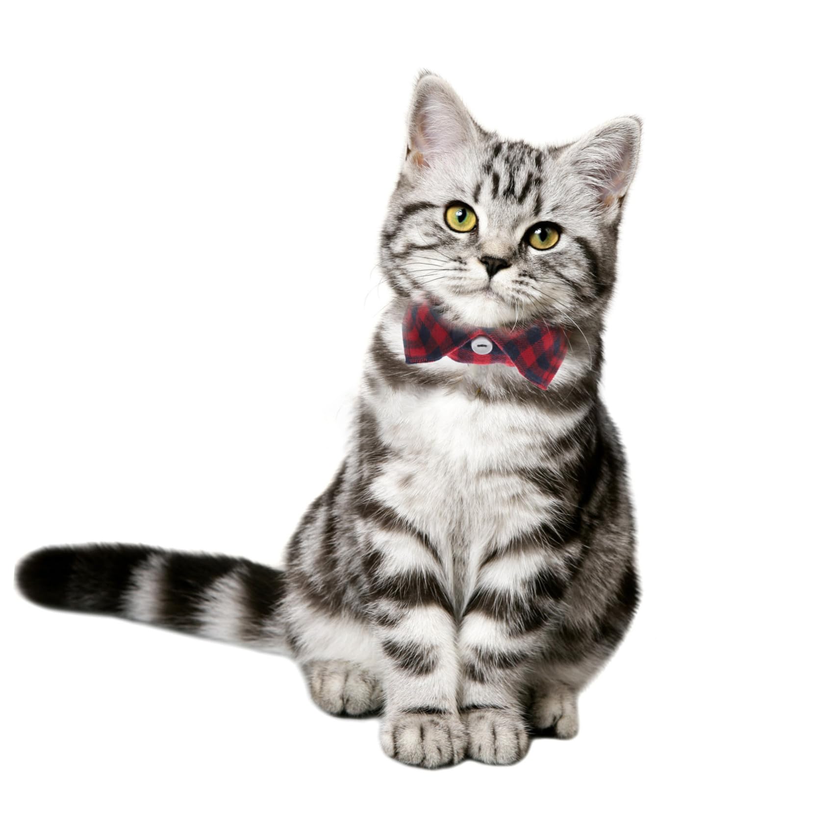 Happyyami 5stücke Verstellbares Katzenhalsband Mit Glocke Und Süßem Krawatten-Design Für Tägliche Nutzung Partys Und Fotoshootings Sicher Und Langlebig Für Katzen Und Kätzchen