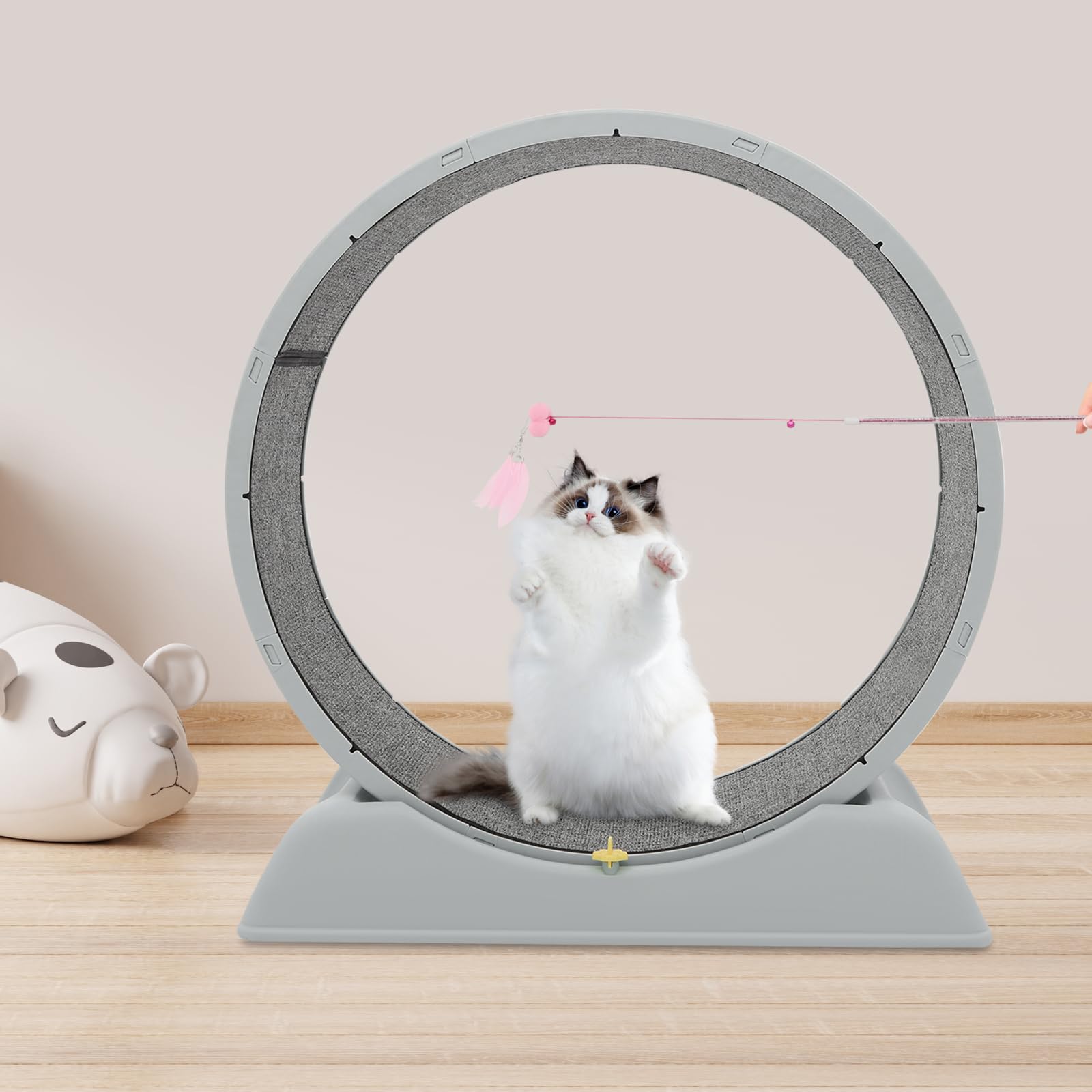 Ruota per gatti da 80 cm, grande ruota per gatti da appartamento, silenziosa, con una portata di 10 kg, 79 x 34 x 84 cm