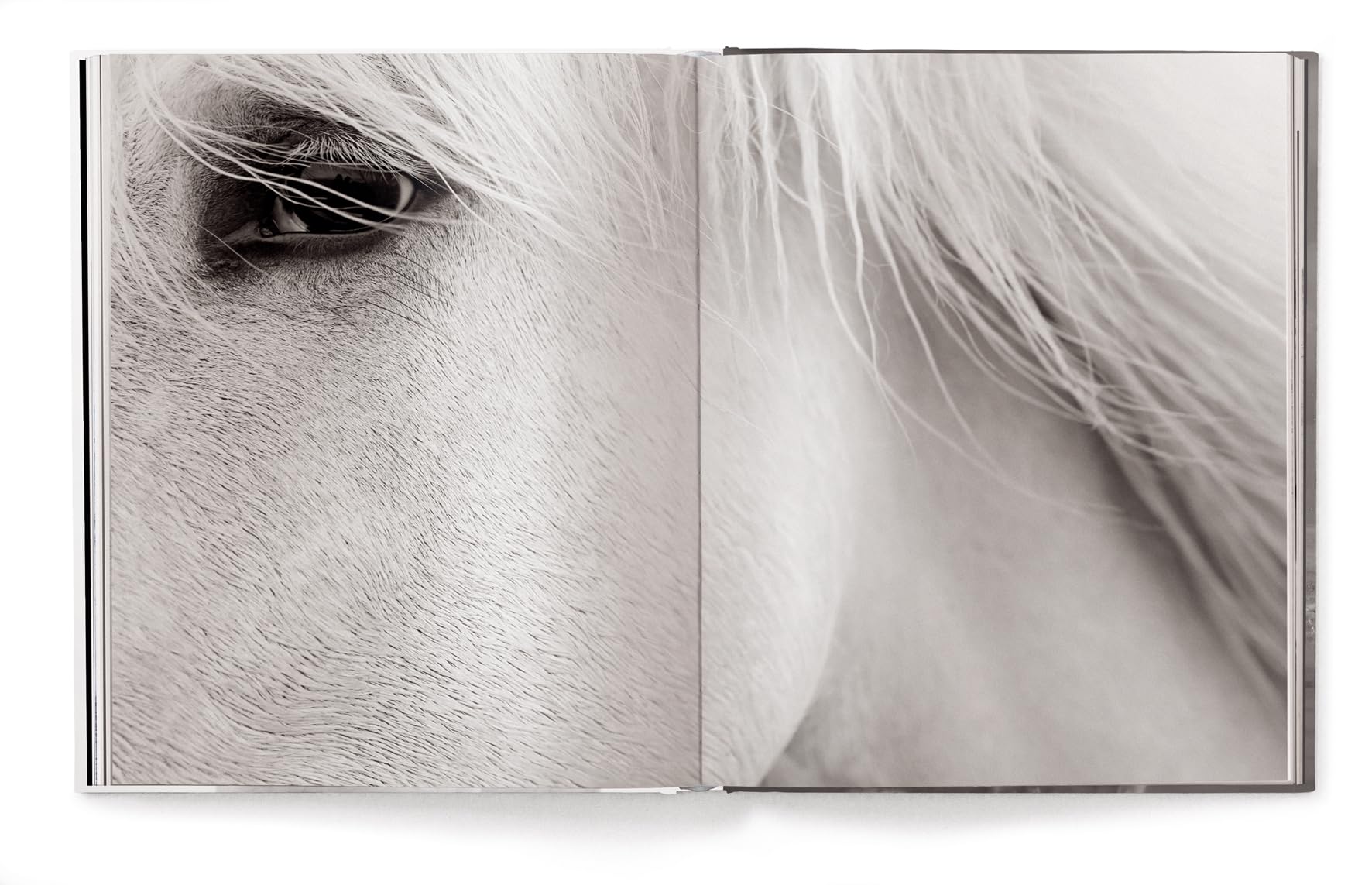 Untamed Spirits: Horses from Around the World /anglais/allemand