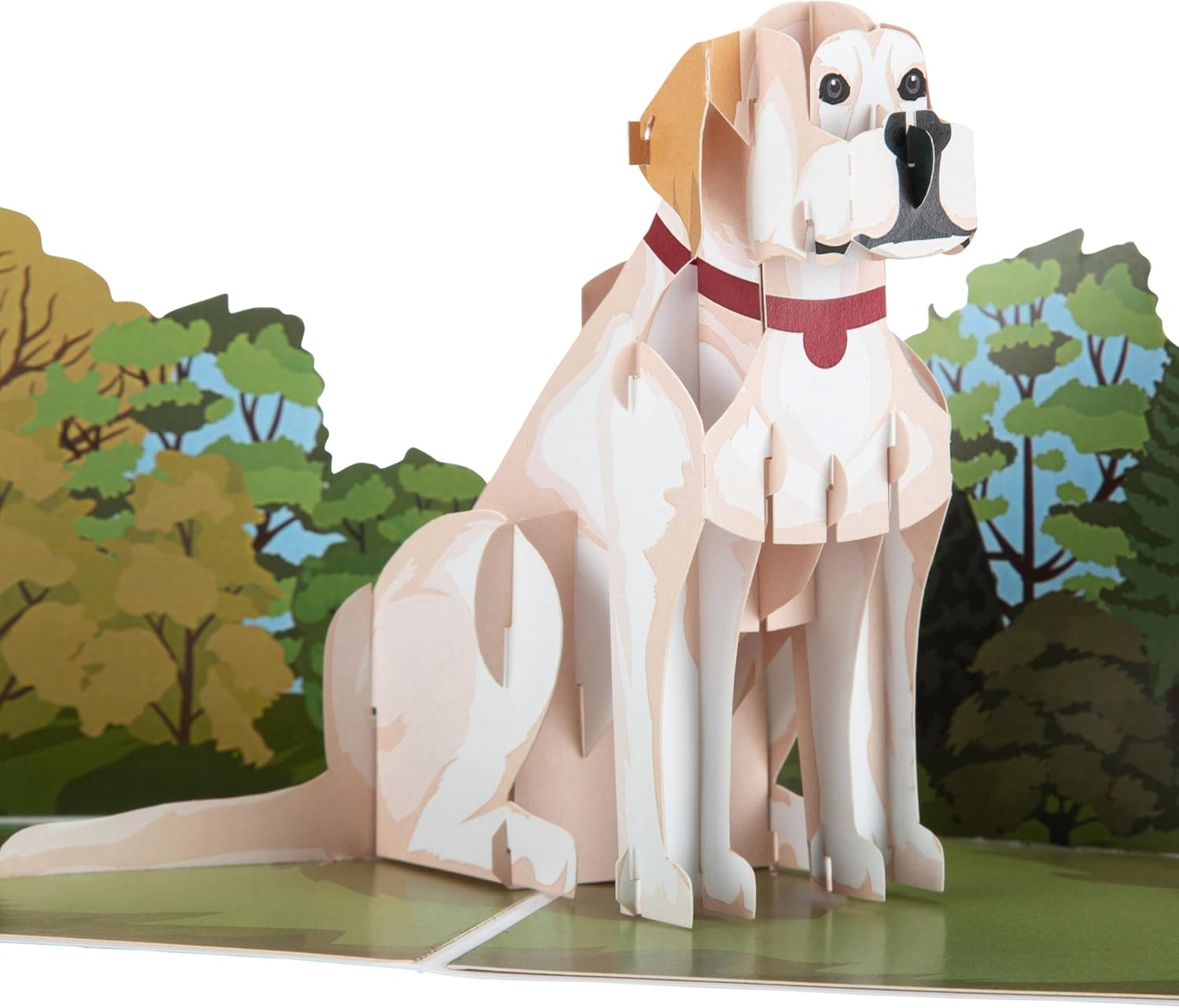 Cardology - Labrador Pop Up Card | 3D Labrador Retriver Dog Birthday Card, Fathers Day Cards, Mother's Day Cards, Dog Lover Gifts | Handmade