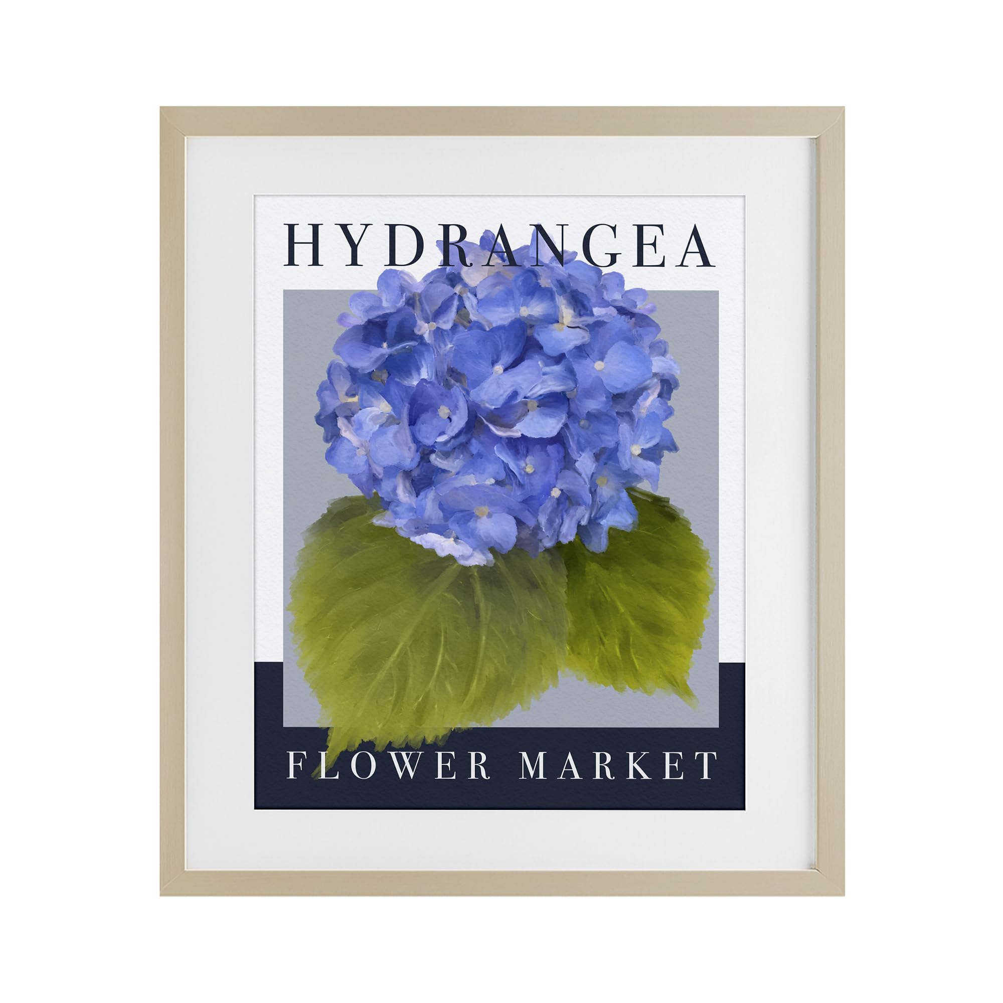 Hydrangea Flower Market Botanical, 17 x 21 Inch Framed Print Under Glass