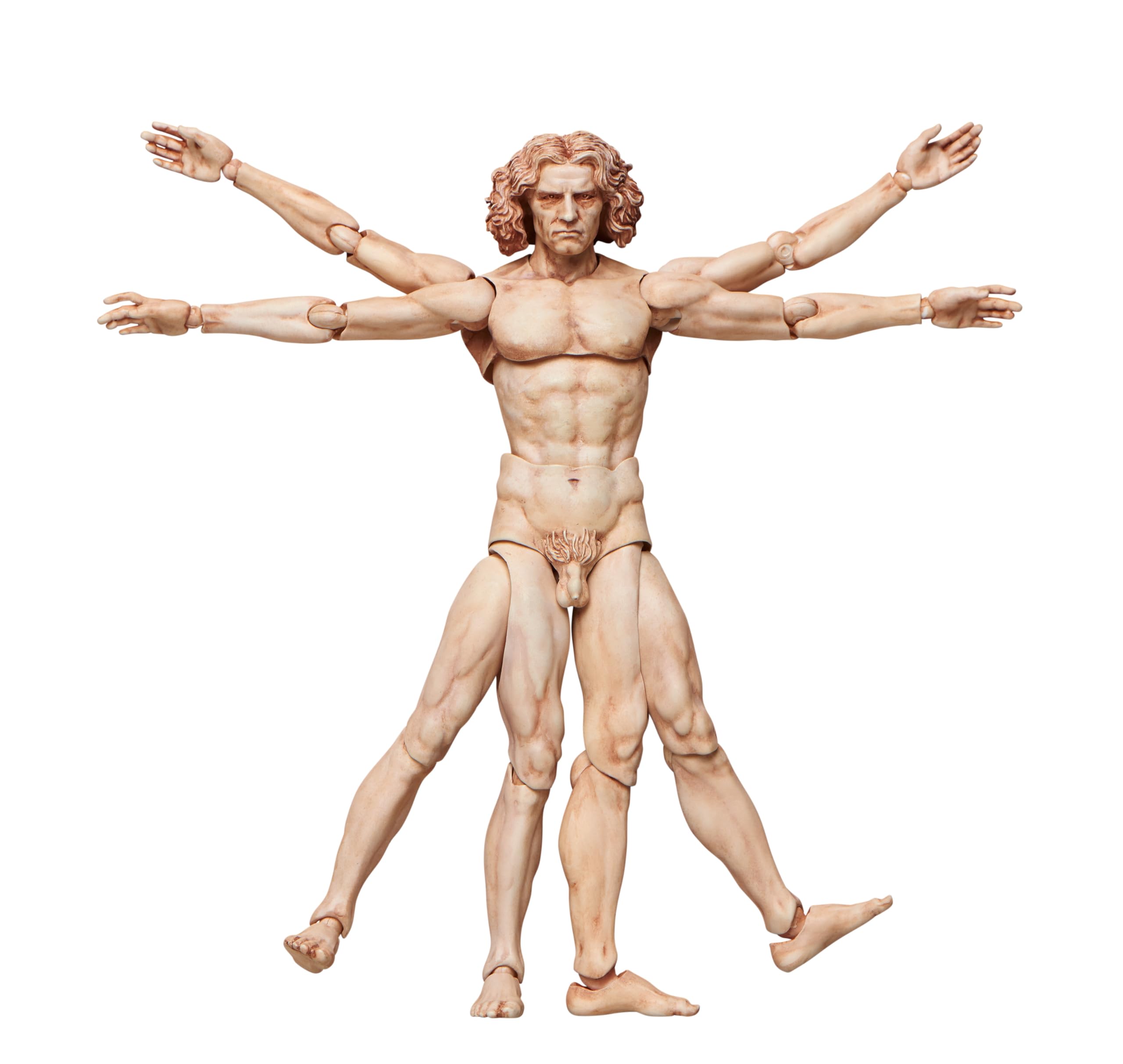 Amazon | figma ウィトルウィウス的人体図 ノンスケール PVC&ABS製