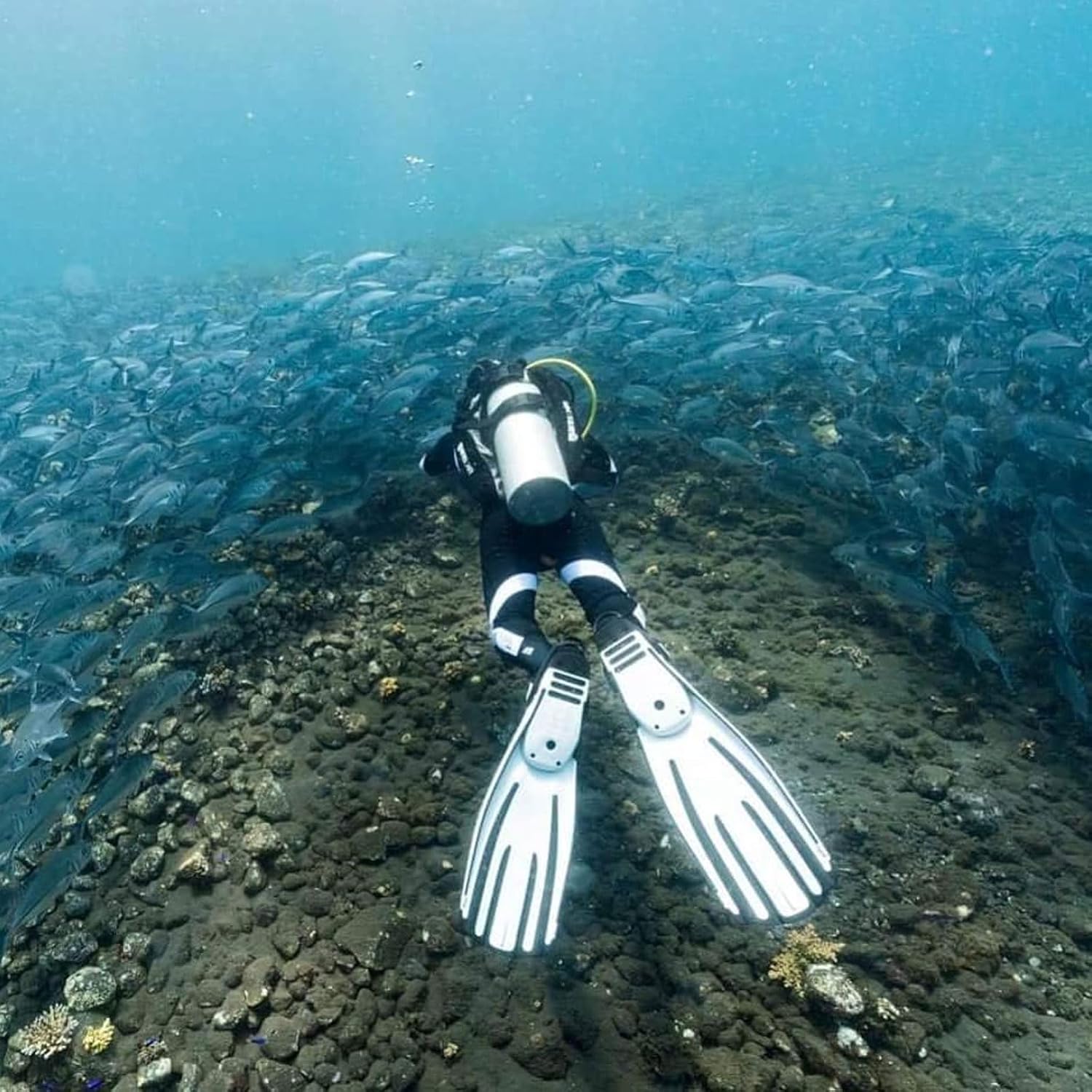 Mares Unisex Adults Avanti Quattro + Diving Fins - Durable Efficient Versatile Open-Heel Scuba Fins with Four-Channel Design & Bungee Strap Standard White