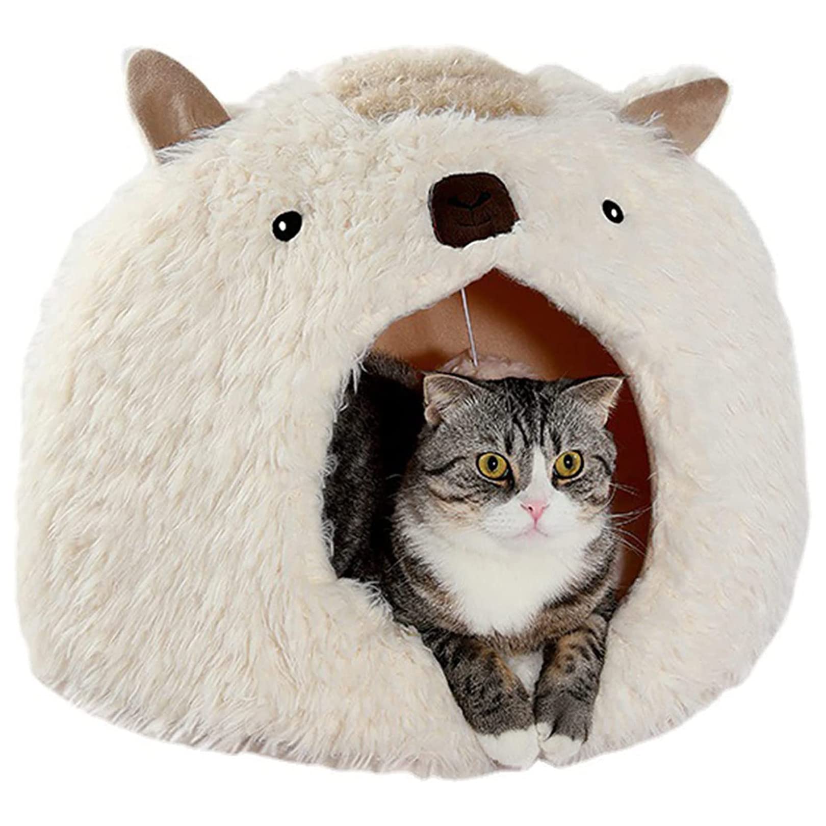 Cuccia Gatto Chiusa Interno Cuccia Casa per Gatto Letto per Cani per Gatti da Interni con Fondo Antiscivolo, Letto per Gatti Lavabile con Palla Appesa,45X45X38CM