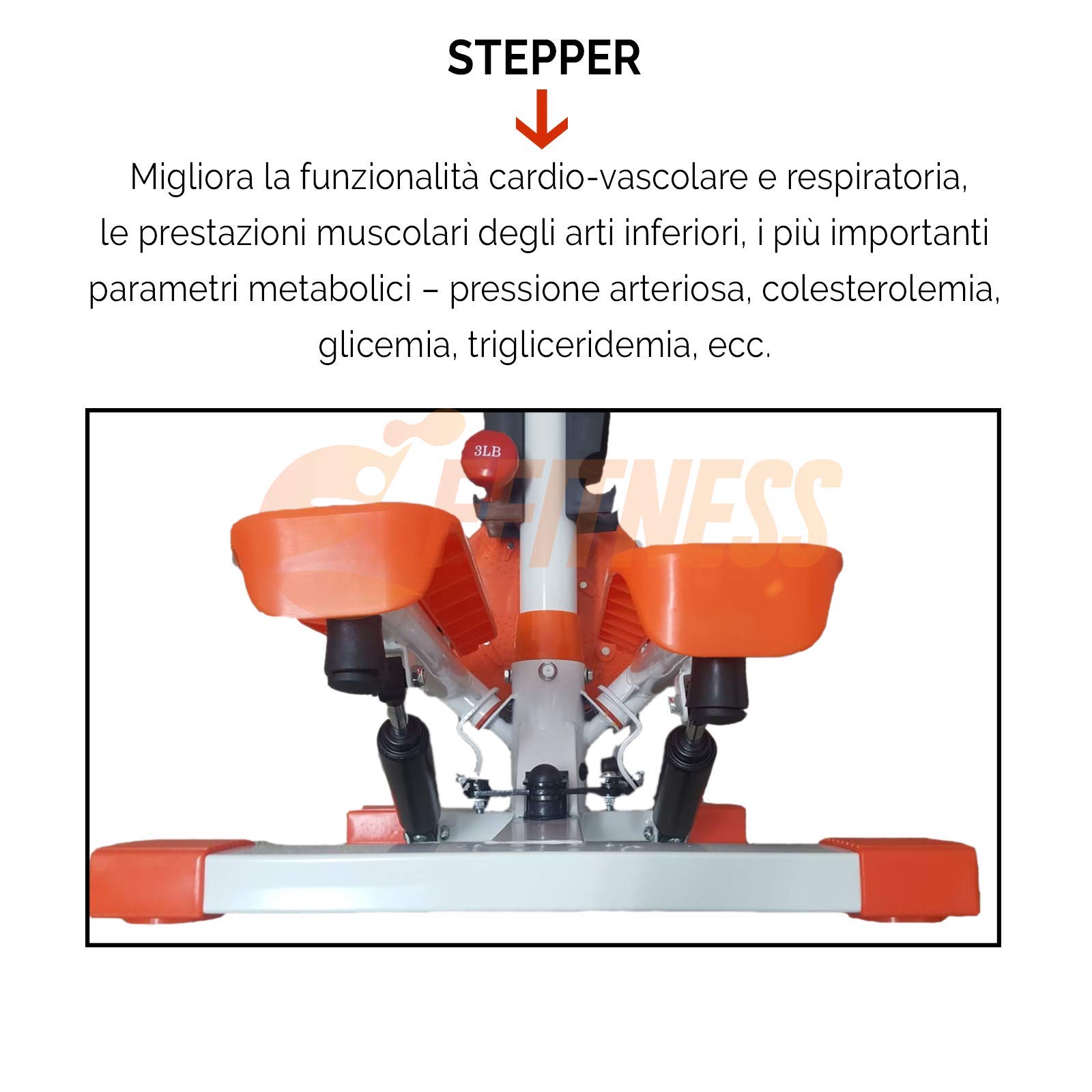 FFitness Stepper Twister Ffitnes, Strumento Professionale Multifunzione per l'home Fitness Unisex Adulto, Bianco, Medium