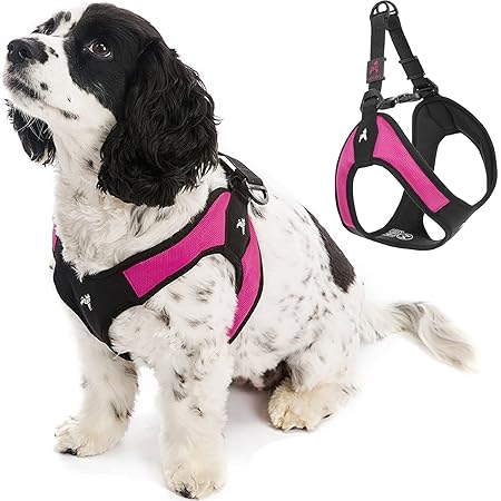 gooby simple step in dog harness