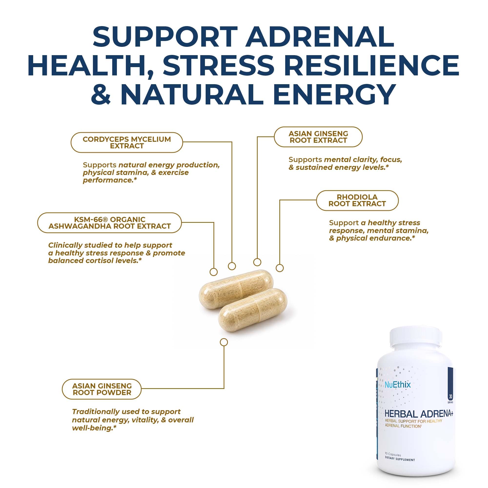NuEthix Formulations Herbal Adrena+, Adrenal Support Supplements for Women & Men, Cortisol Support, Improve Energy Levels & Mood, Includes Cordyceps & Ashwagandha, Non-GMO, Gluten Free, 30 Servings — Amazon image 3