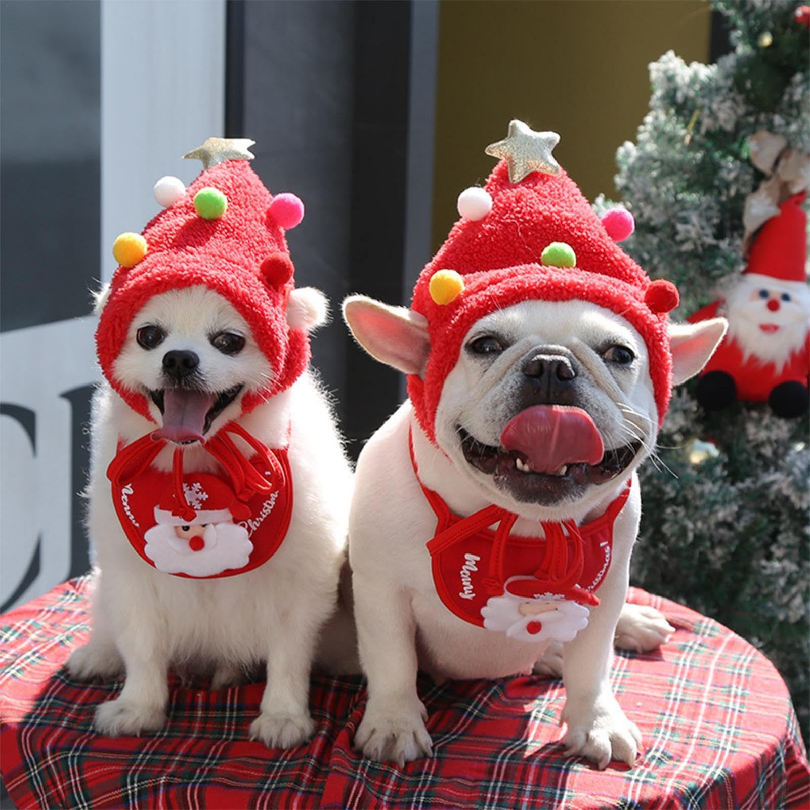 Amazon | クリスマス犬用帽子、犬用クリスマス帽子 - 帽子かわいい帽子