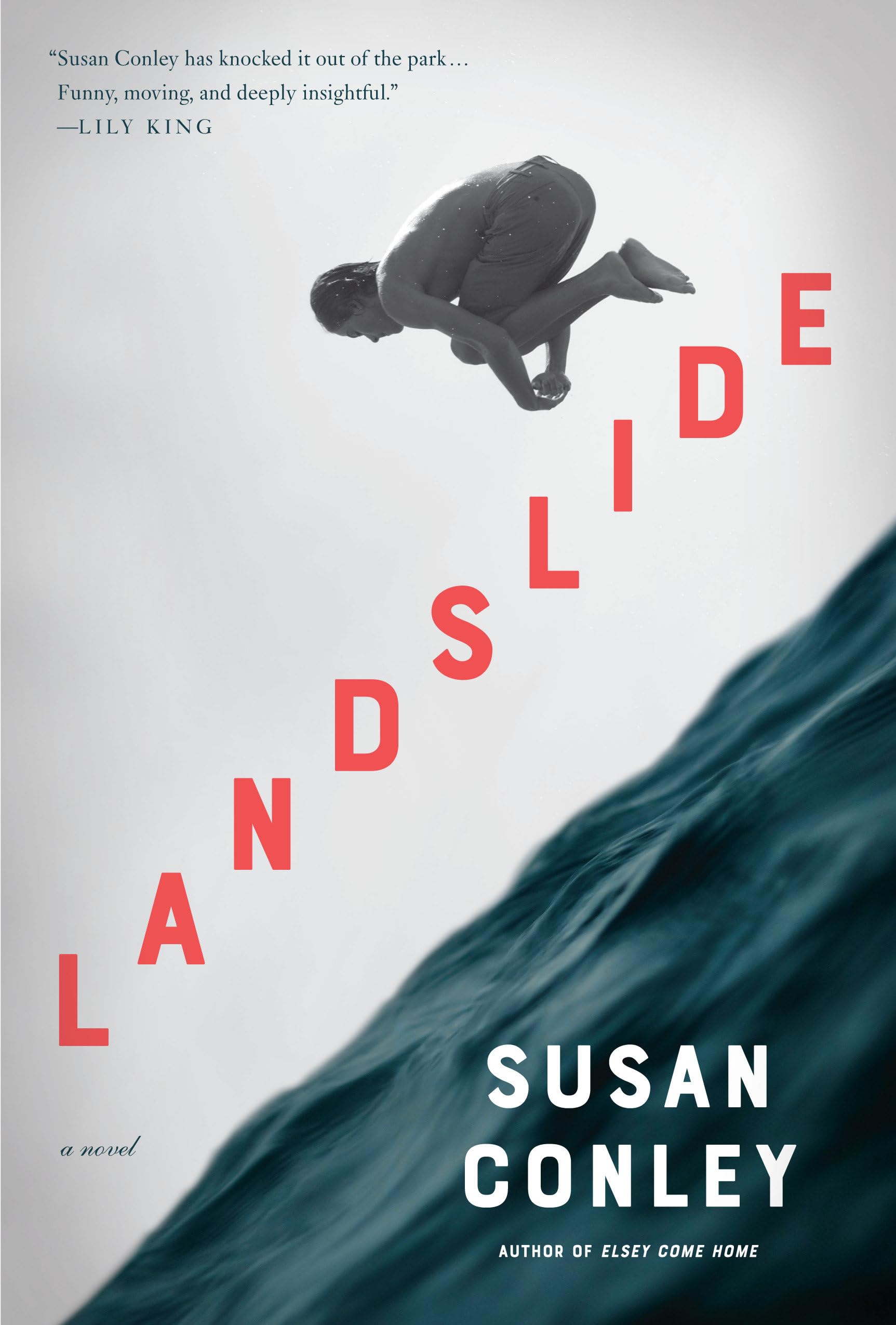 Landslide A Novel by Susan Conley (Hardback Book)