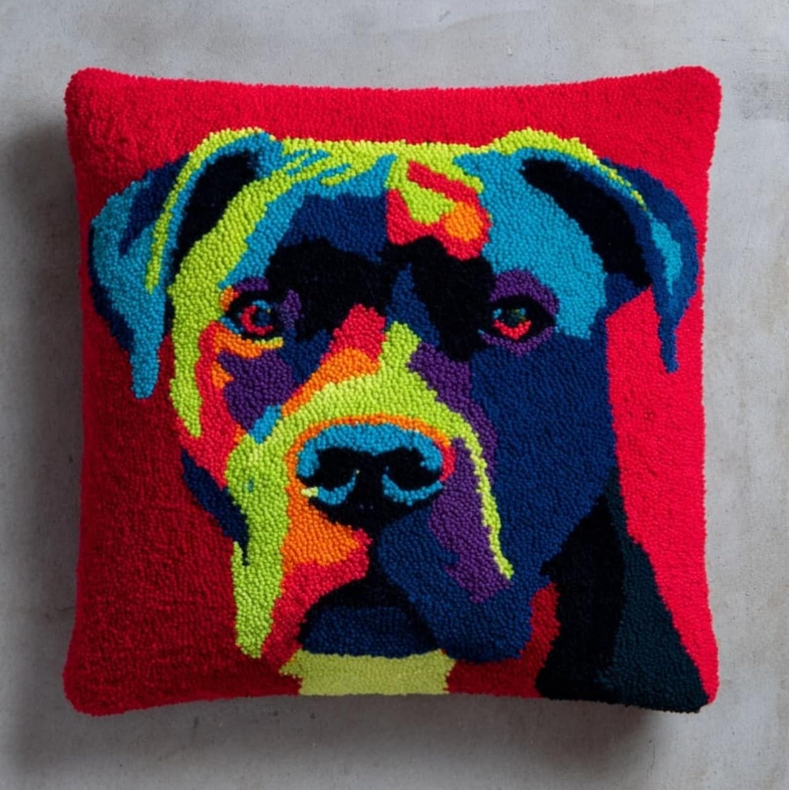 AxiangziK Latch Hook Pillow Kit 17x17in,Animal Dog Boxing Dog