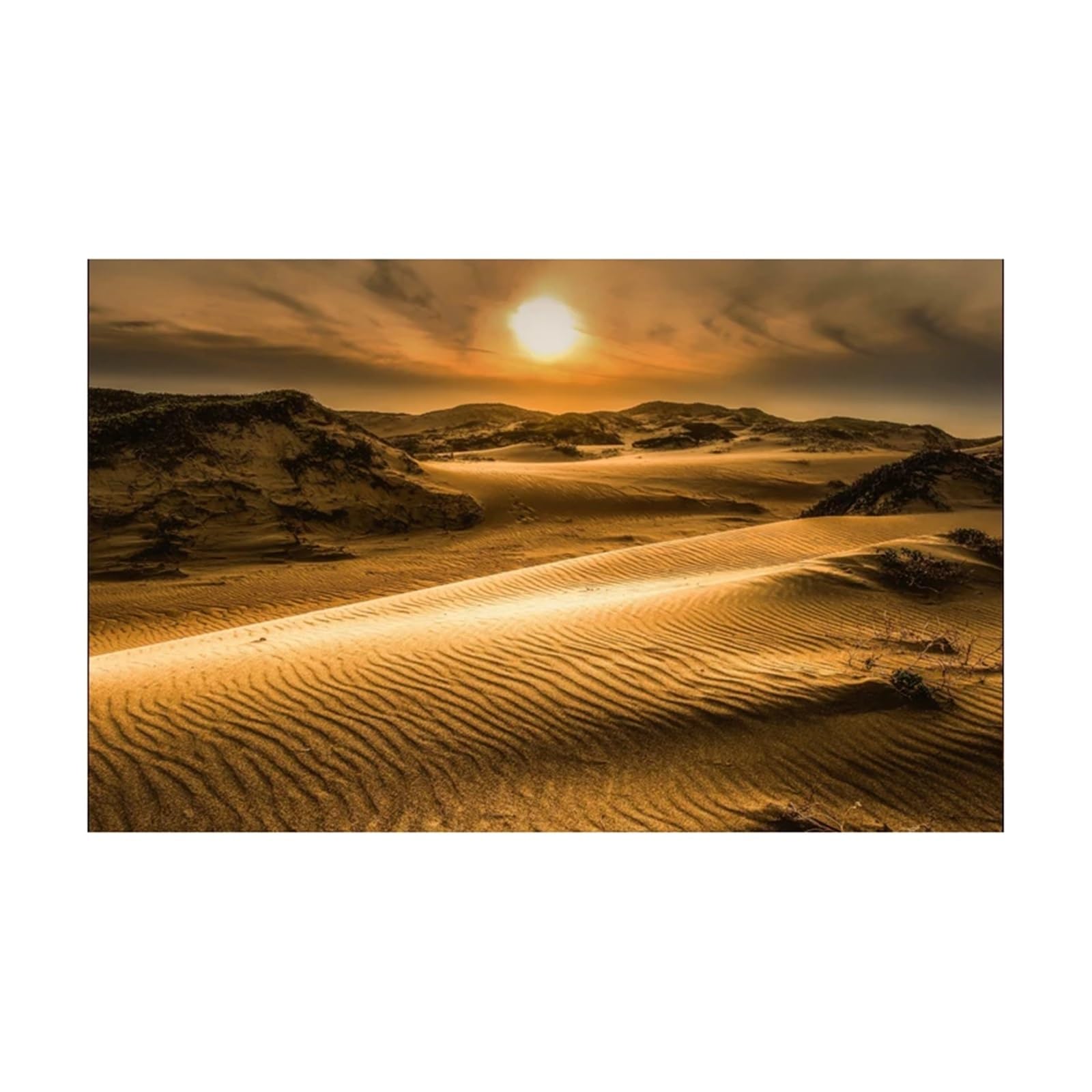 Sfondo Adesivo for Acquario, Sfondo Poster, Decorazione for nel Deserto, Carta da Parati autoadesiva(50x100cm)