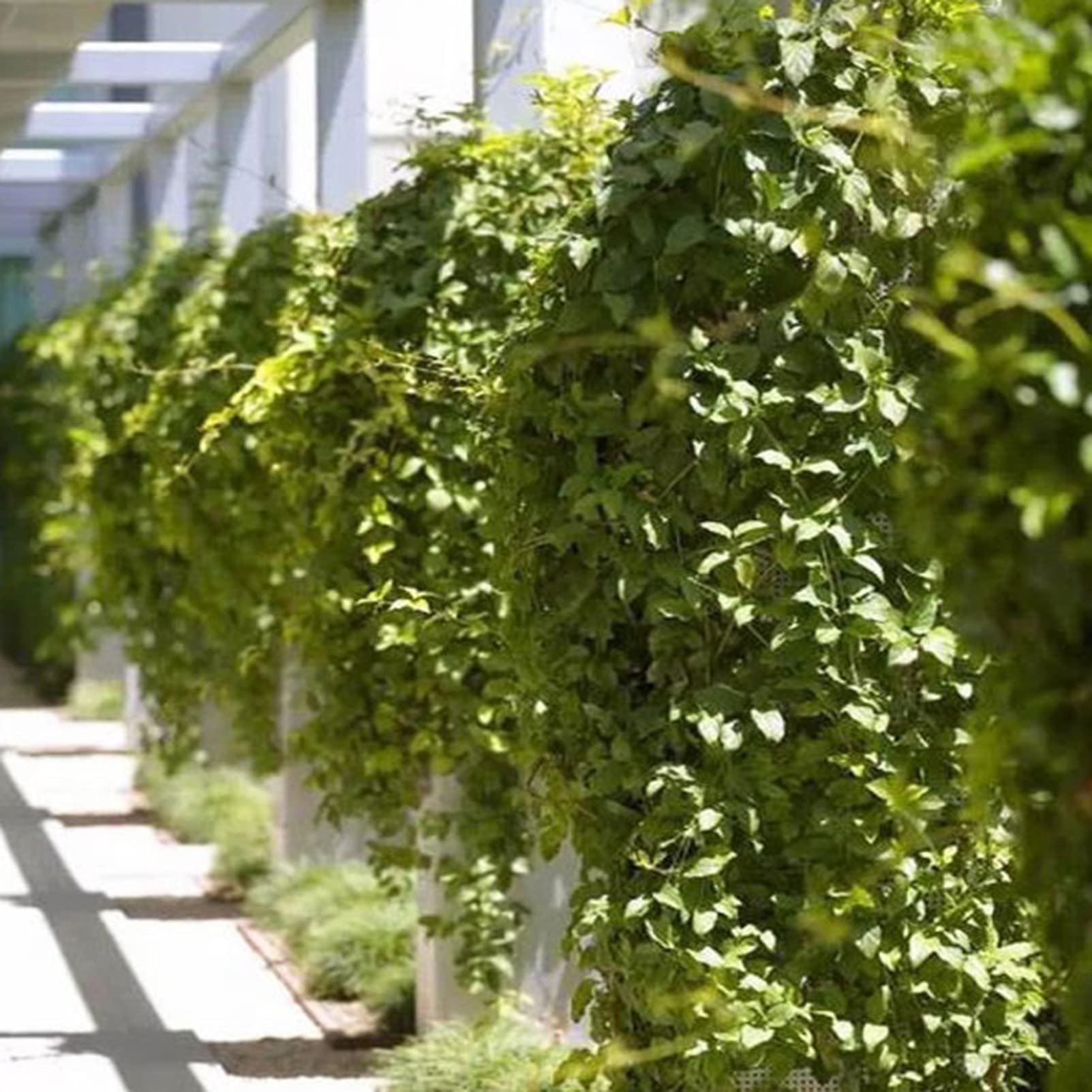 Tbestmax 315 Voet 48 Pack Kunstmatige Klimop Blad Planten, Groene Wijnbladeren, Groen Hangende Slinger, Nep Gebladerte Bloemen voor Thuis Keuken Tuin Kantoor Bruiloft Muur Decor