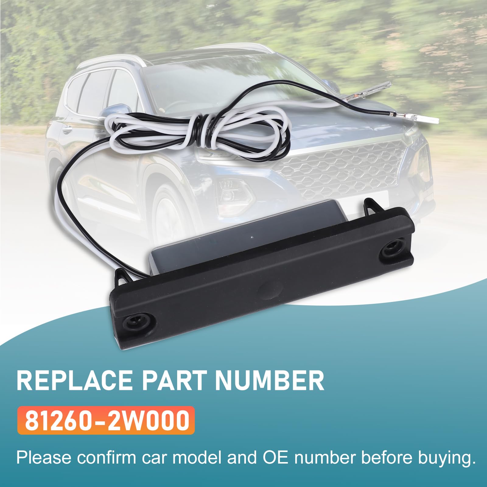 Amazon.com: 812602W000 Rear Tailgate Handle Boot Release Button