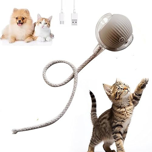 Pelota automática interactiva para gatos para interiores, recargable, activa, interactiva, juguete para mascotas, para interiores, juguetes